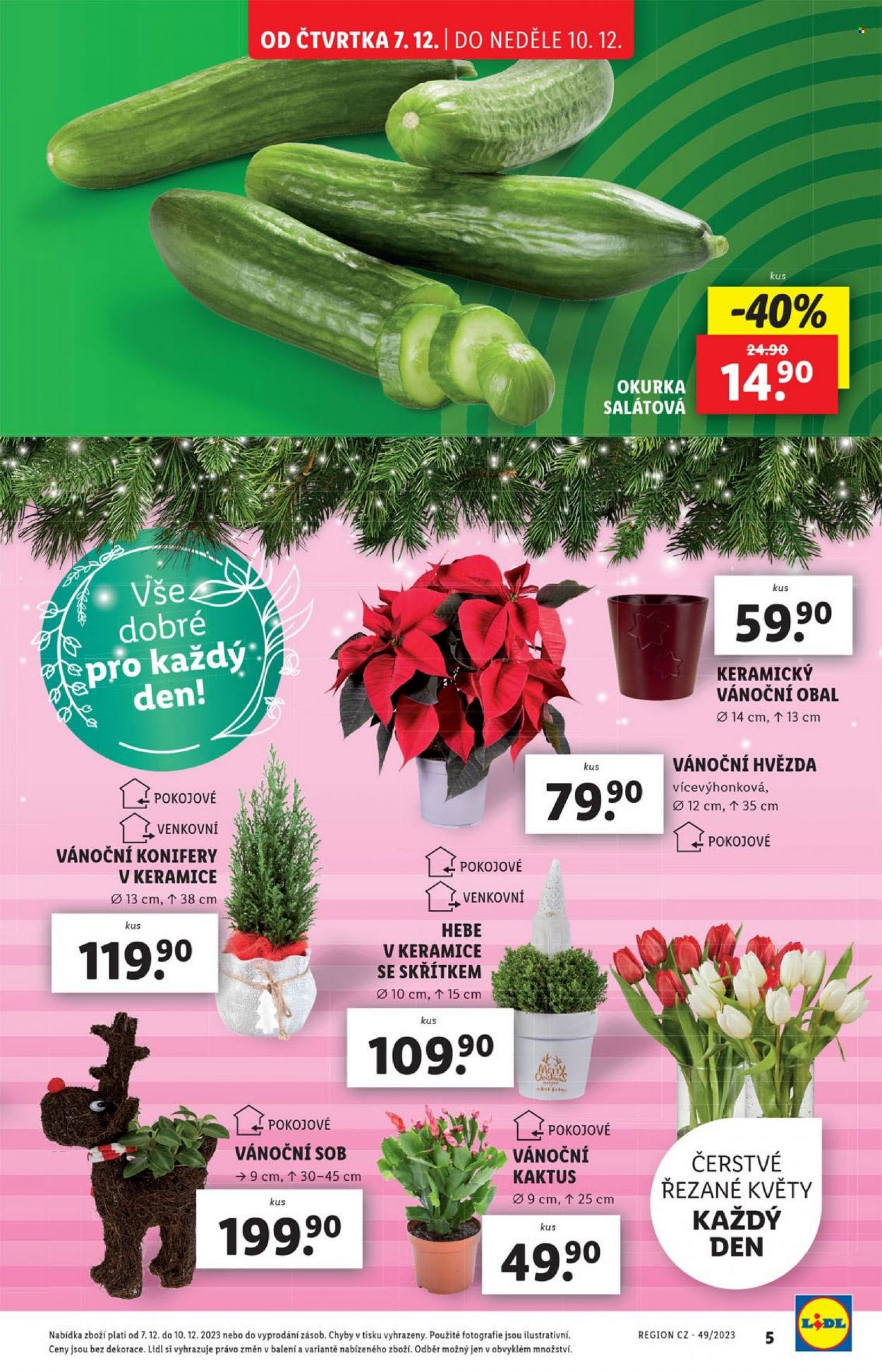 Leták Lidl - 7.12.2023 - 10.12.2023. Strana 5