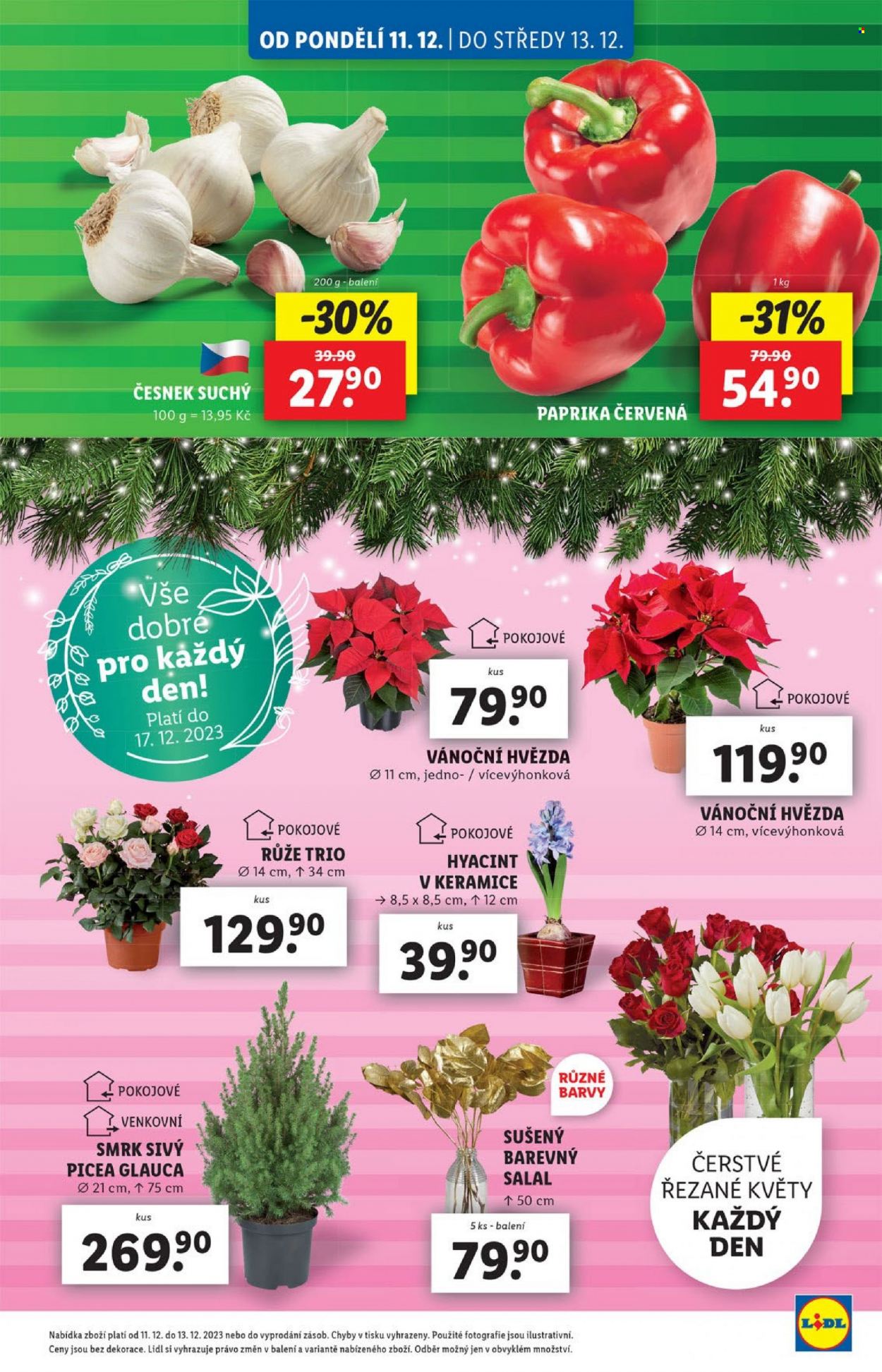 Leták Lidl - 11.12.2023 - 17.12.2023. Strana 5