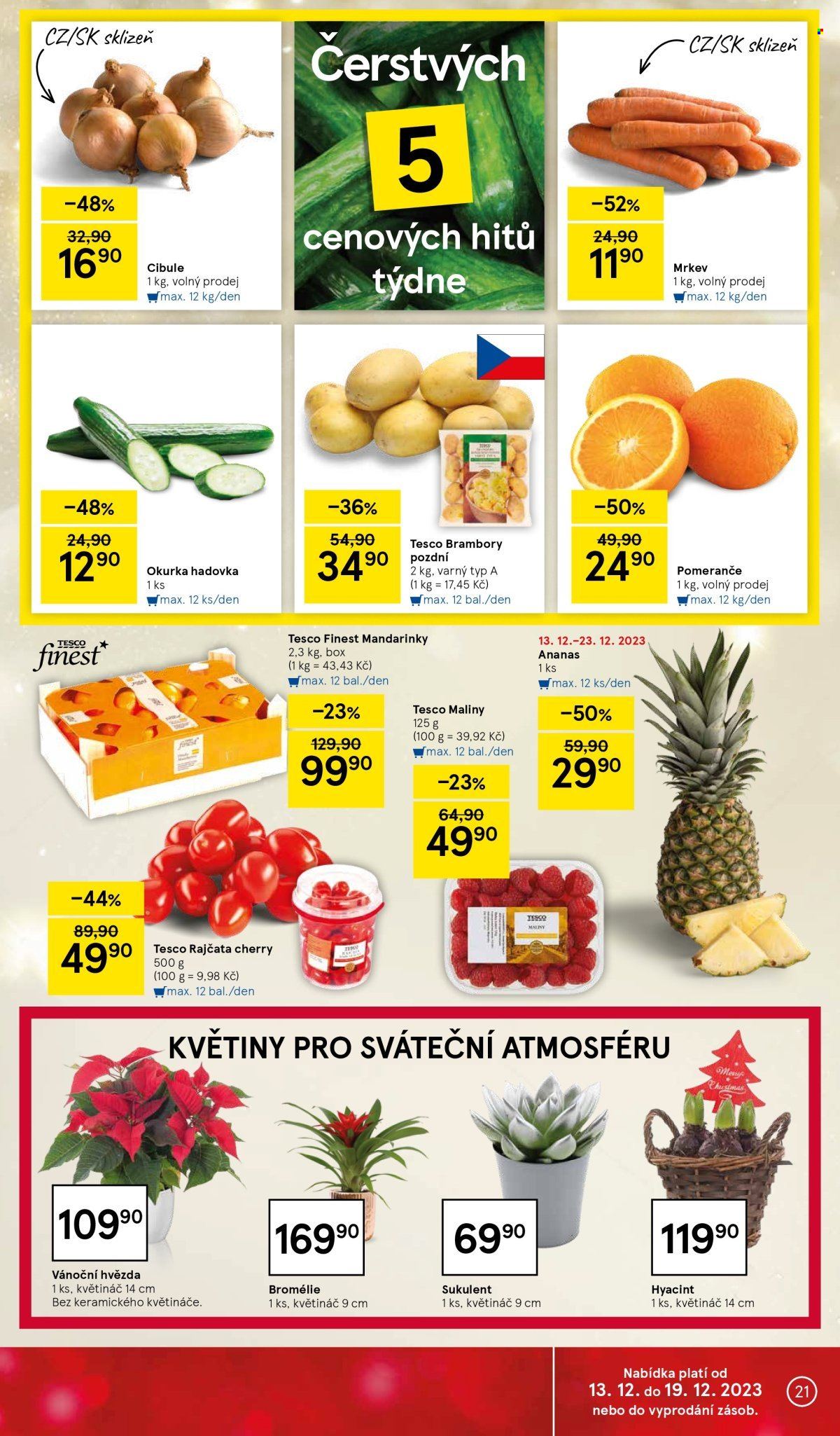 Leták TESCO - 13.12.2023 - 19.12.2023. Strana 21