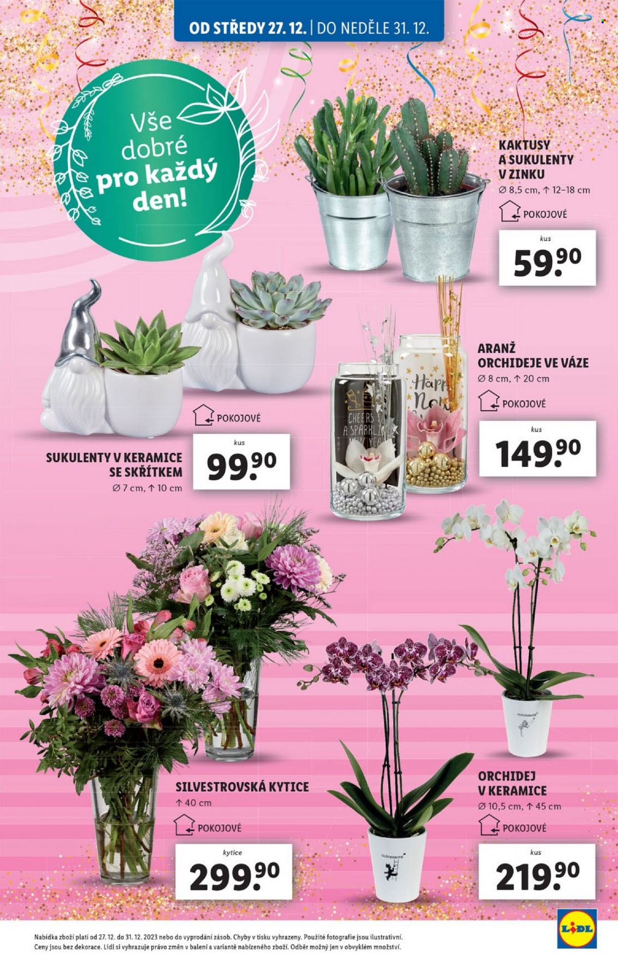 Leták Lidl - 27.12.2023 - 31.12.2023. Strana 9