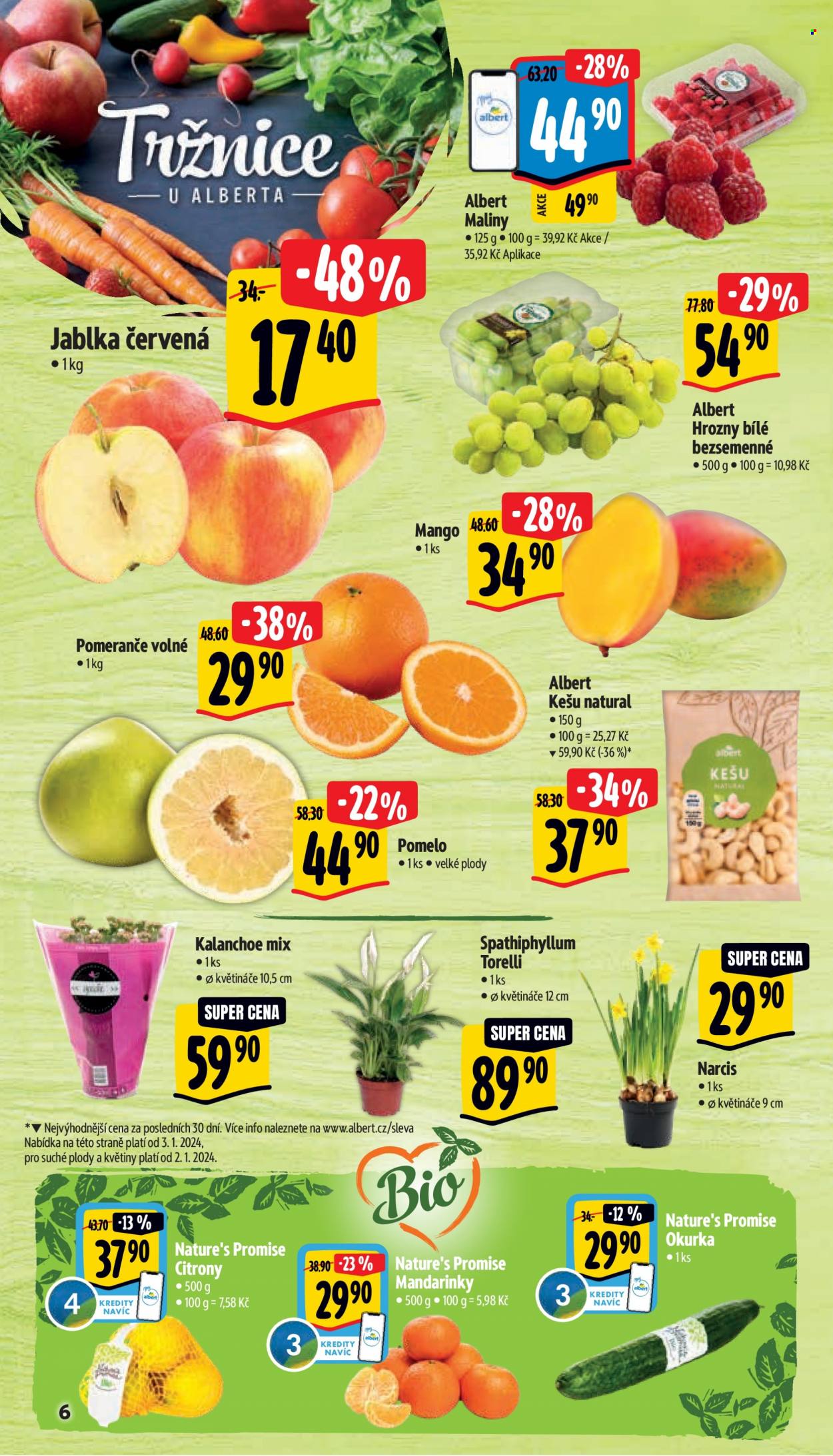 Leták Albert Supermarket - 2.1.2024 - 9.1.2024. Strana 6