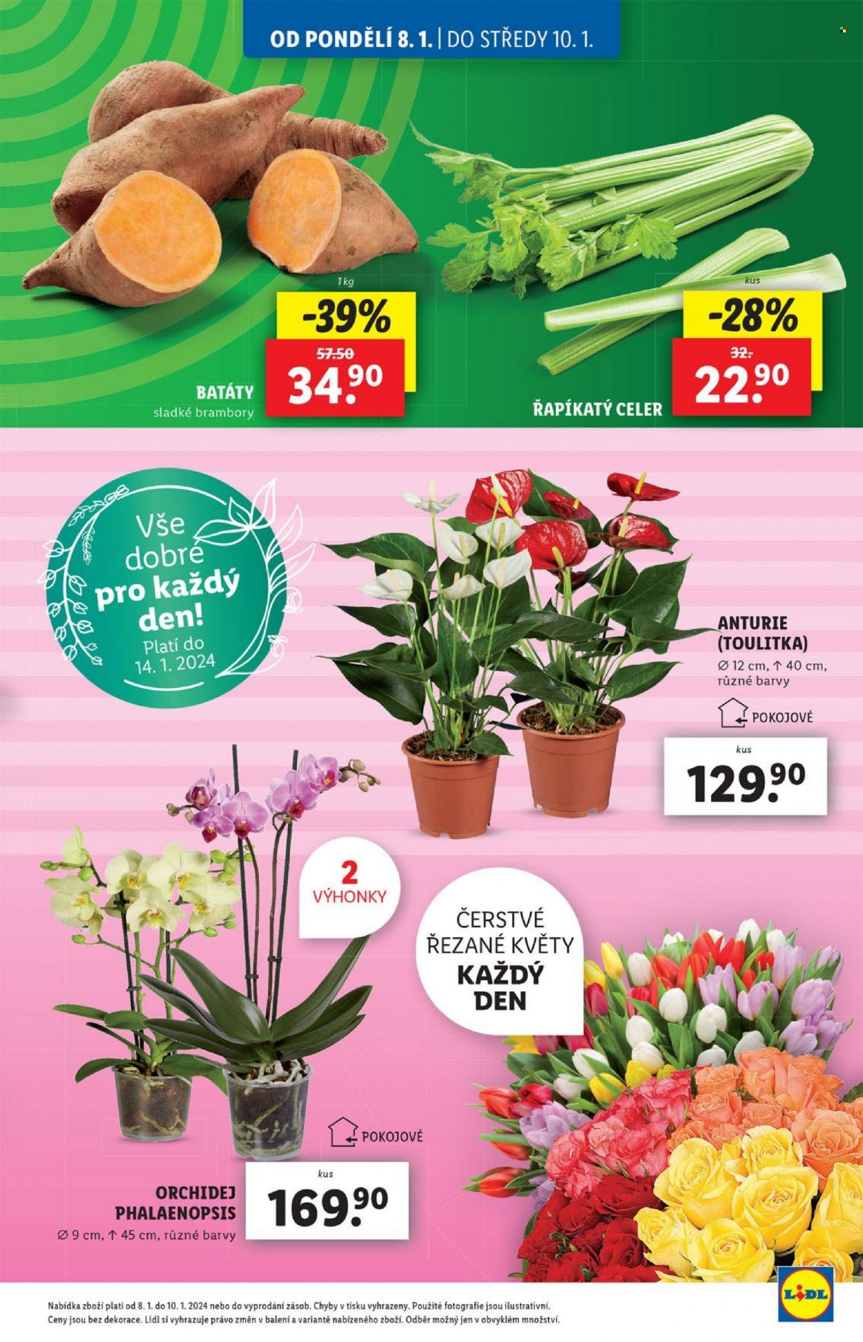 Leták Lidl - 8.1.2024 - 14.1.2024. Strana 5