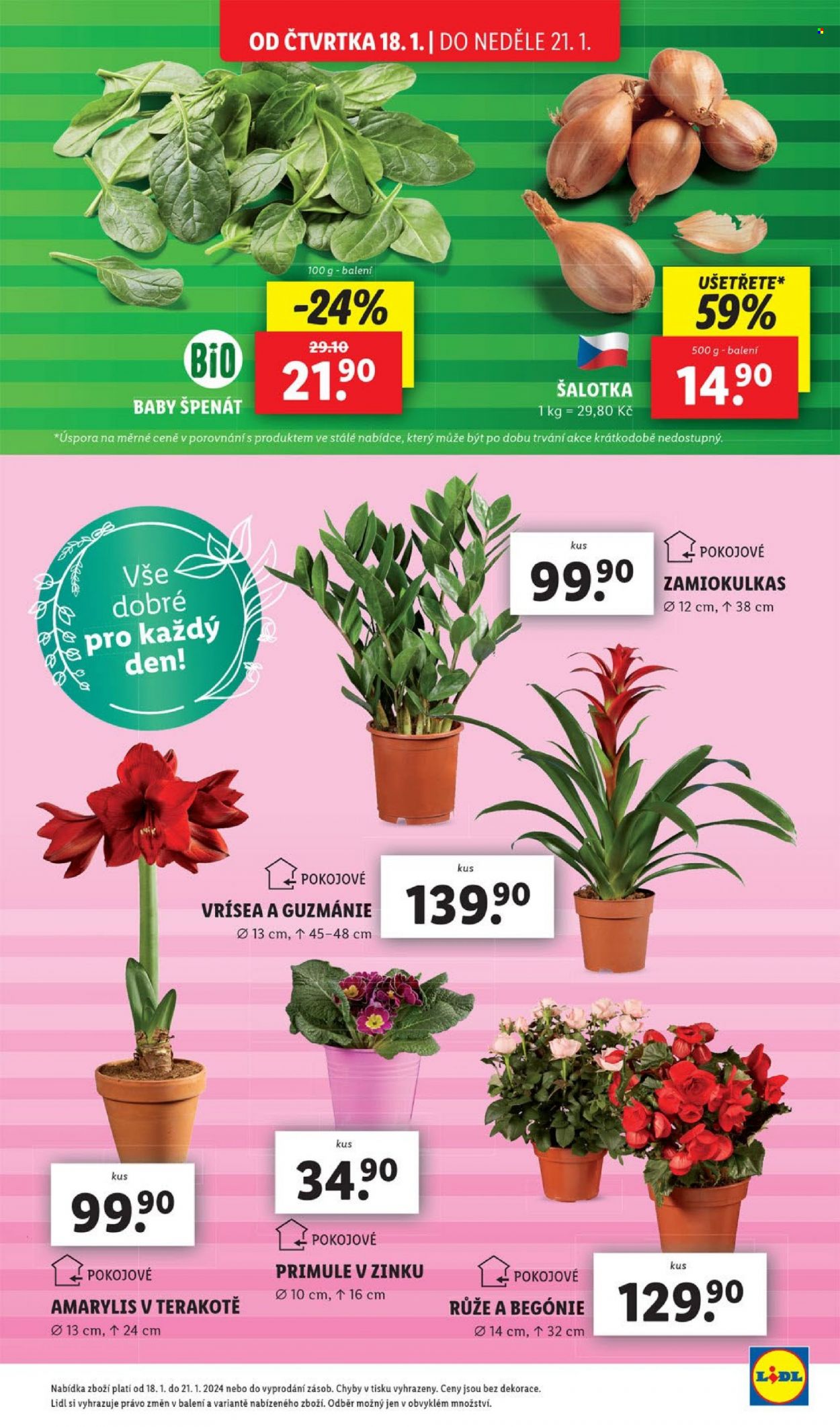Leták Lidl - 18.1.2024 - 21.1.2024. Strana 7
