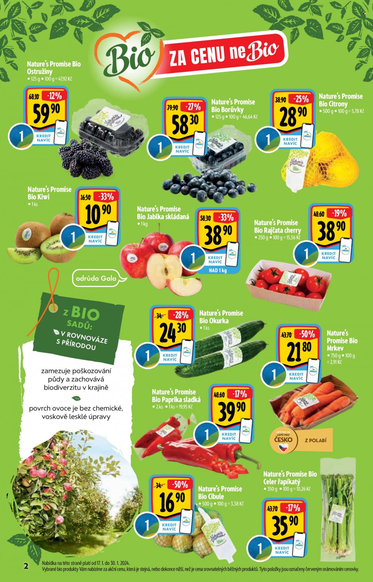 Leták Albert Hypermarket - 17.1.2024 - 13.2.2024. Strana 2
