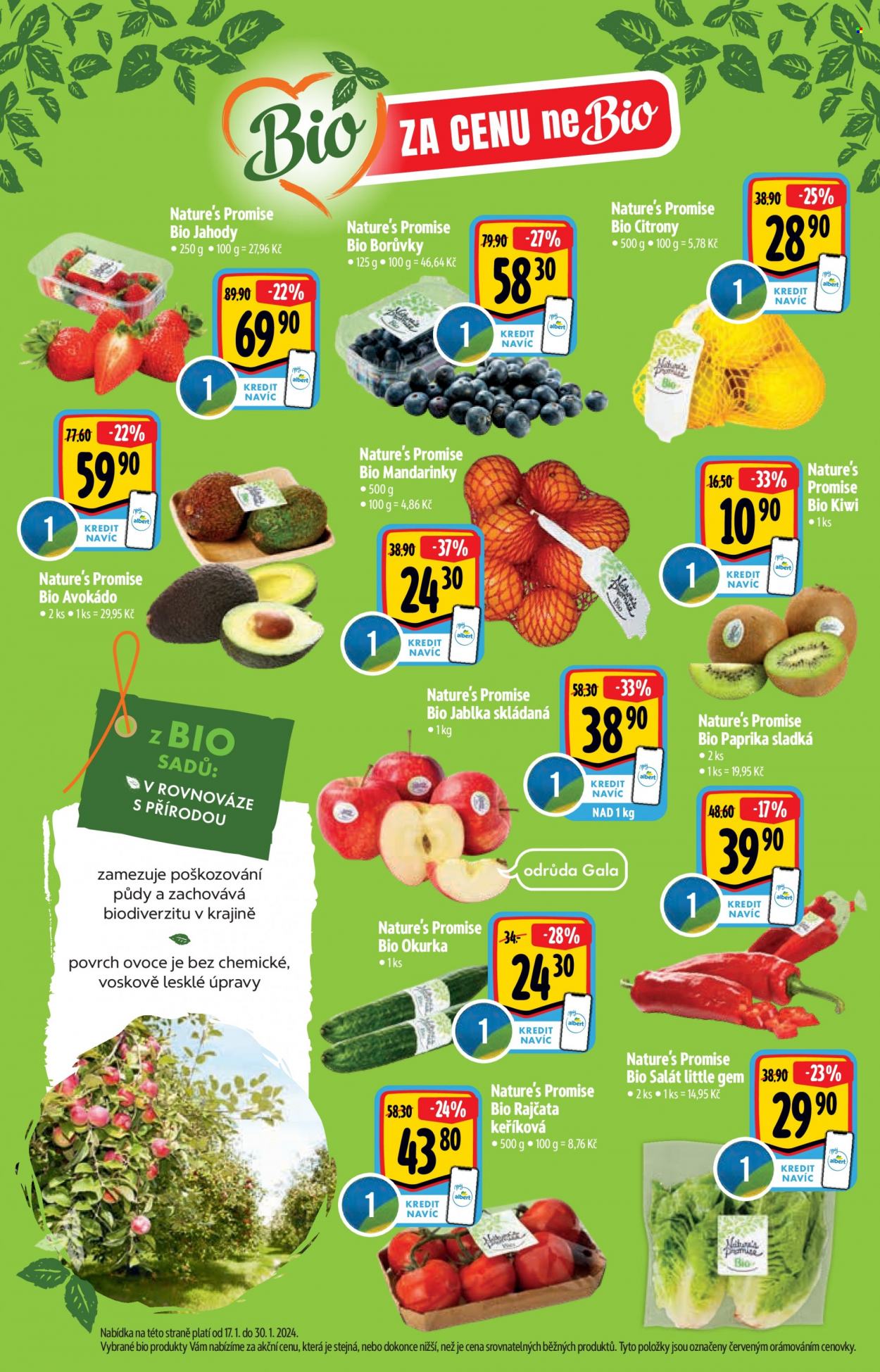 Leták Albert Supermarket - 17.1.2024 - 13.2.2024. Strana 2