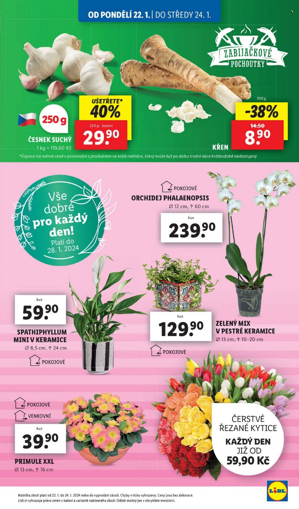 Leták Lidl - 22.1.2024 - 28.1.2024. Strana 11