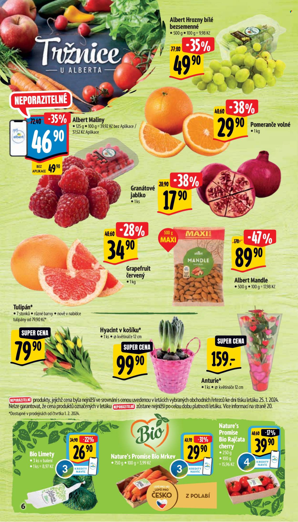 Leták Albert Supermarket - 31.1.2024 - 6.2.2024. Strana 6