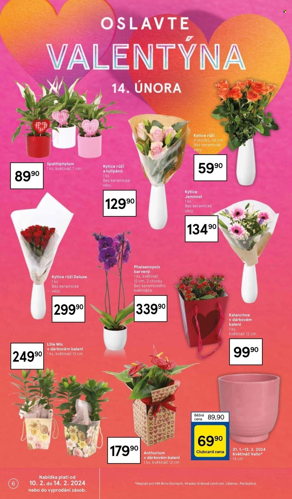 Leták TESCO - 7.2.2024 - 13.2.2024. Strana 6