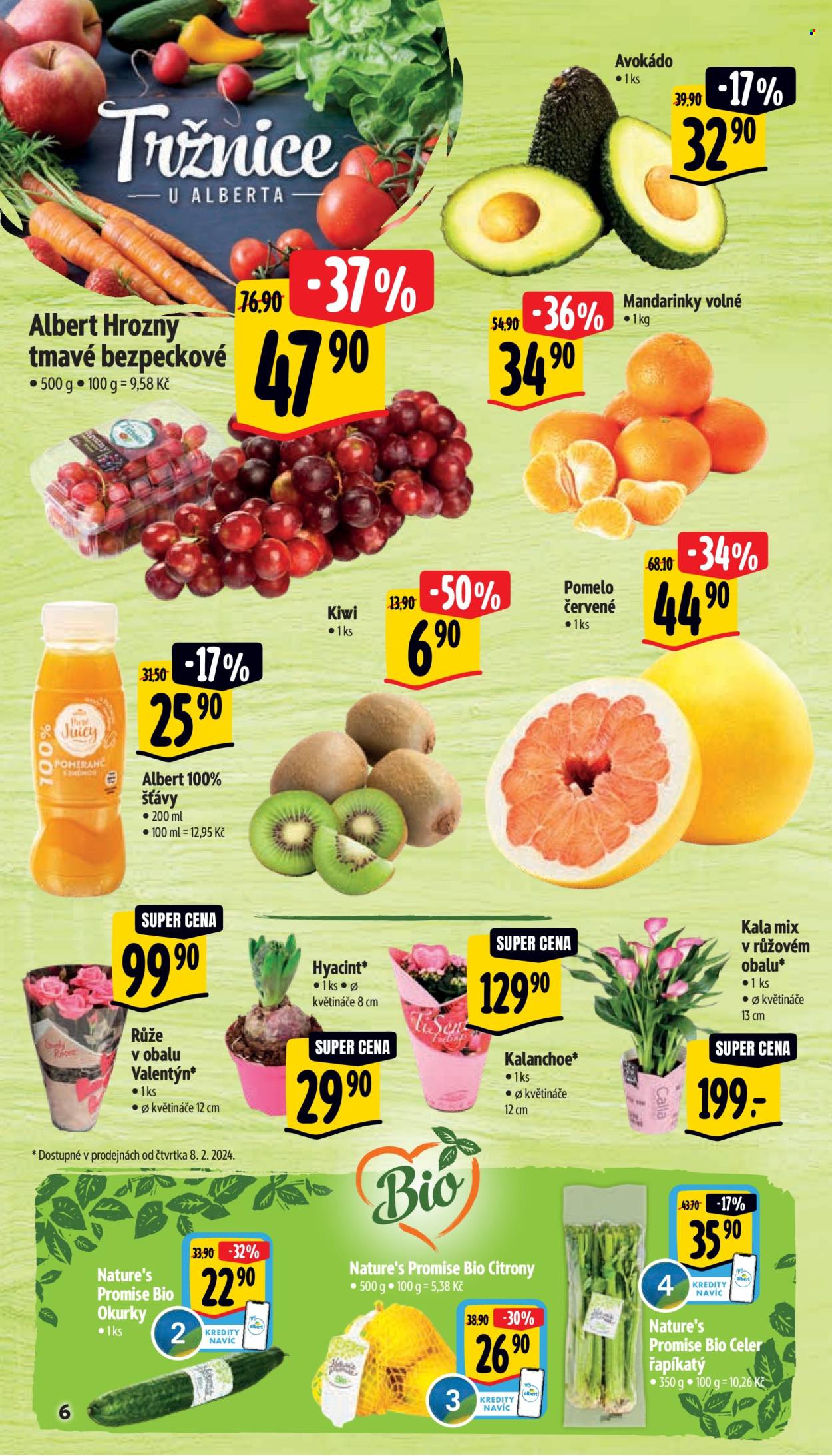 Leták Albert Supermarket - 7.2.2024 - 13.2.2024. Strana 6