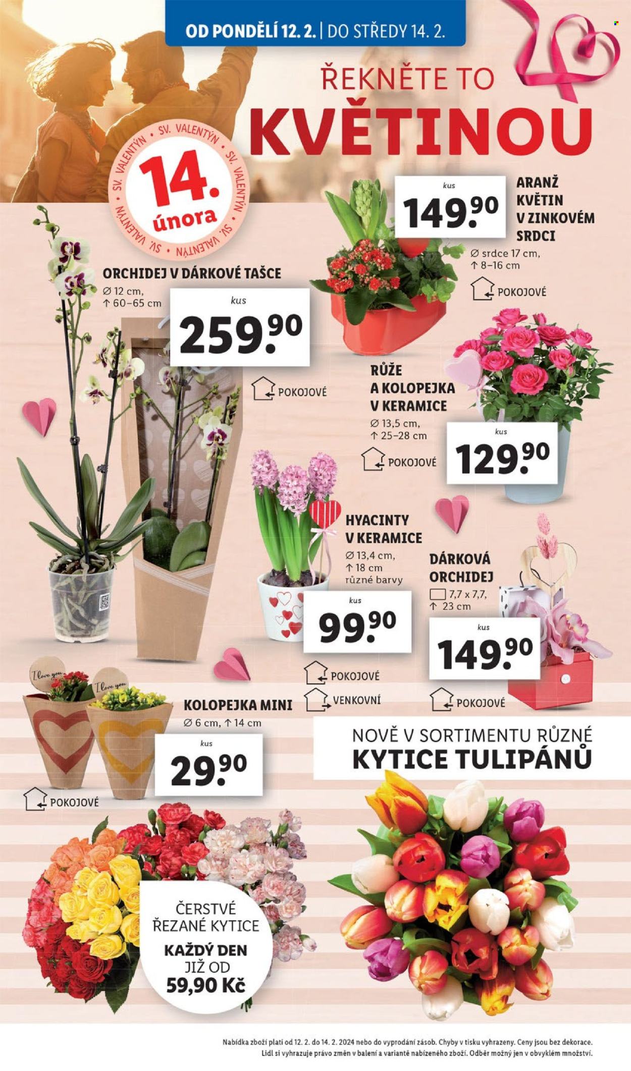 Leták Lidl - 12.2.2024 - 18.2.2024. Strana 10