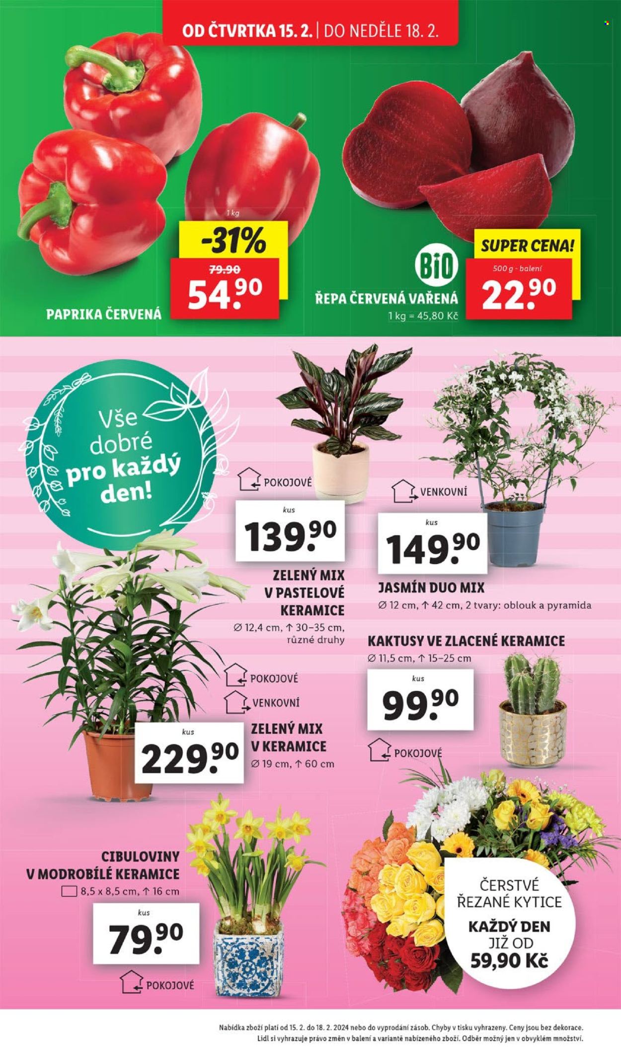 Leták Lidl - 15.2.2024 - 18.2.2024. Strana 12
