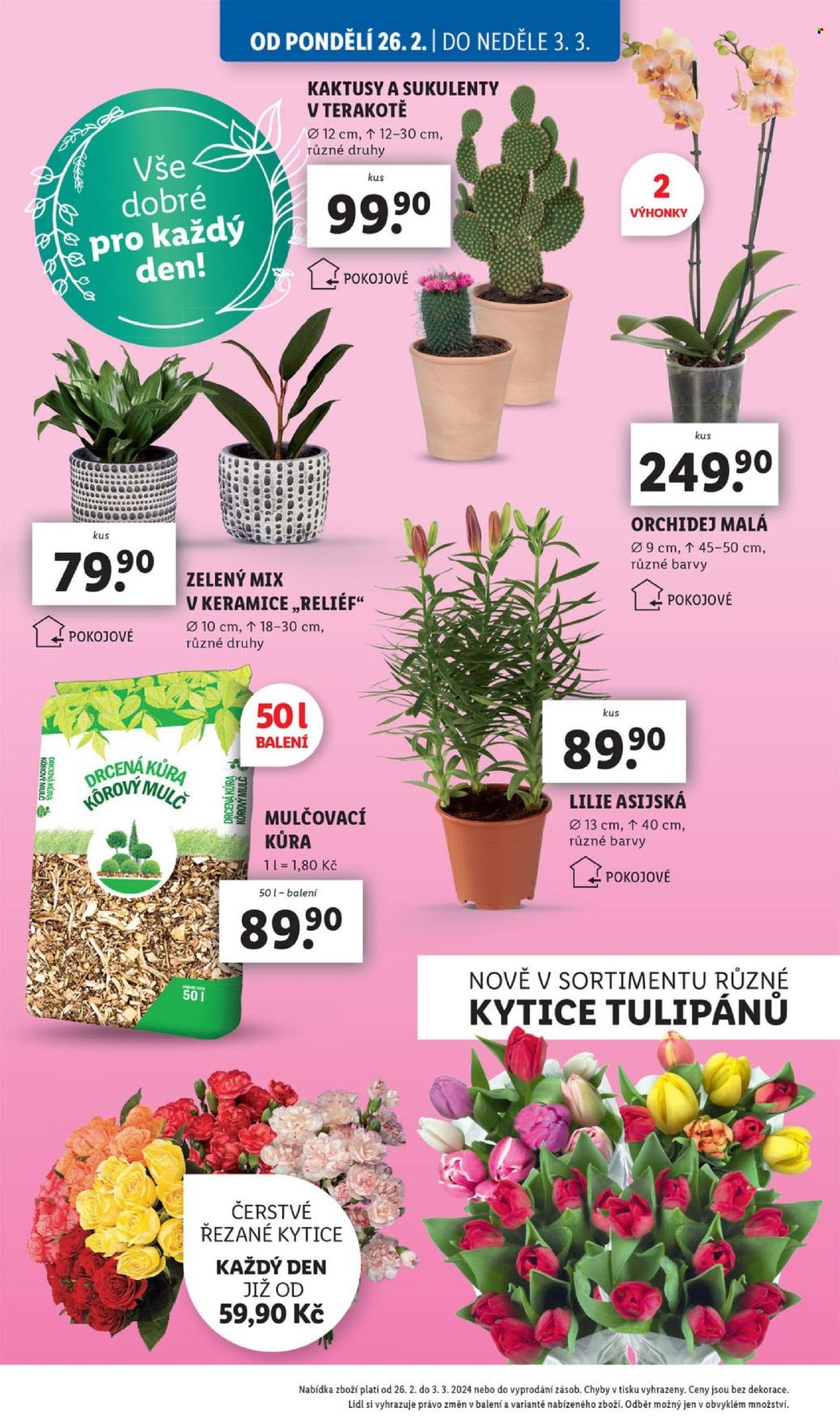 Leták Lidl - 26.2.2024 - 3.3.2024. Strana 28