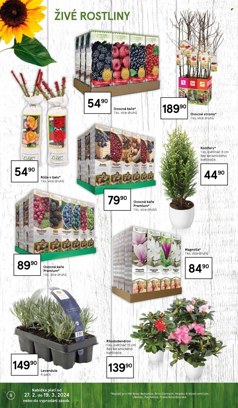 Leták TESCO hypermarket - 27.2.2024 - 19.3.2024. Strana 8
