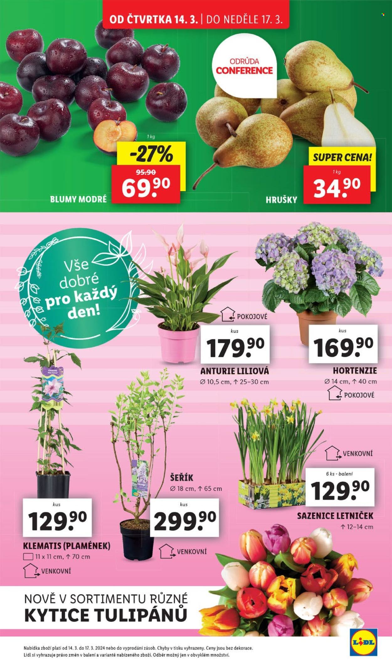 Leták Lidl - 14.3.2024 - 17.3.2024. Strana 11