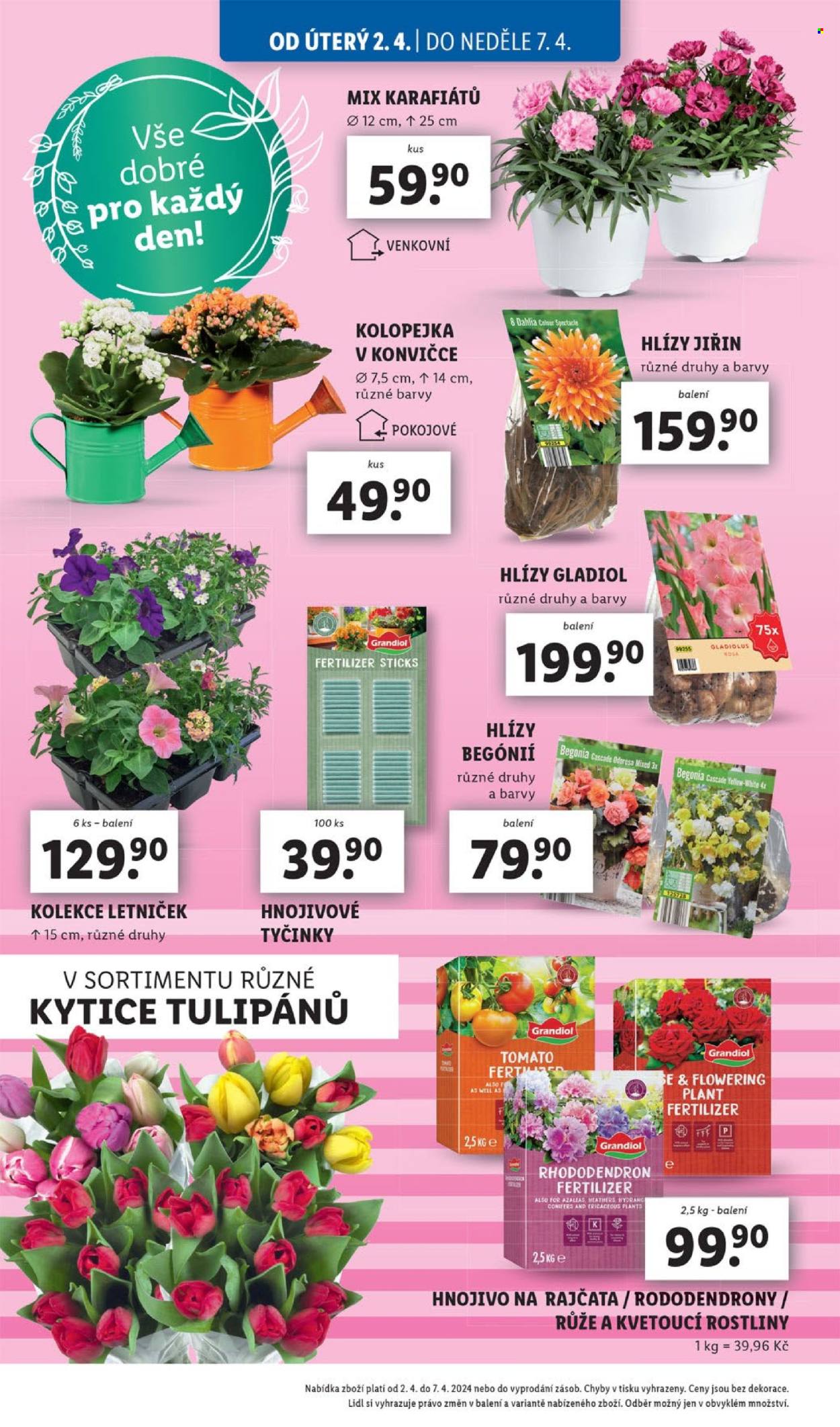 Leták Lidl - 2.4.2024 - 7.4.2024. Strana 4