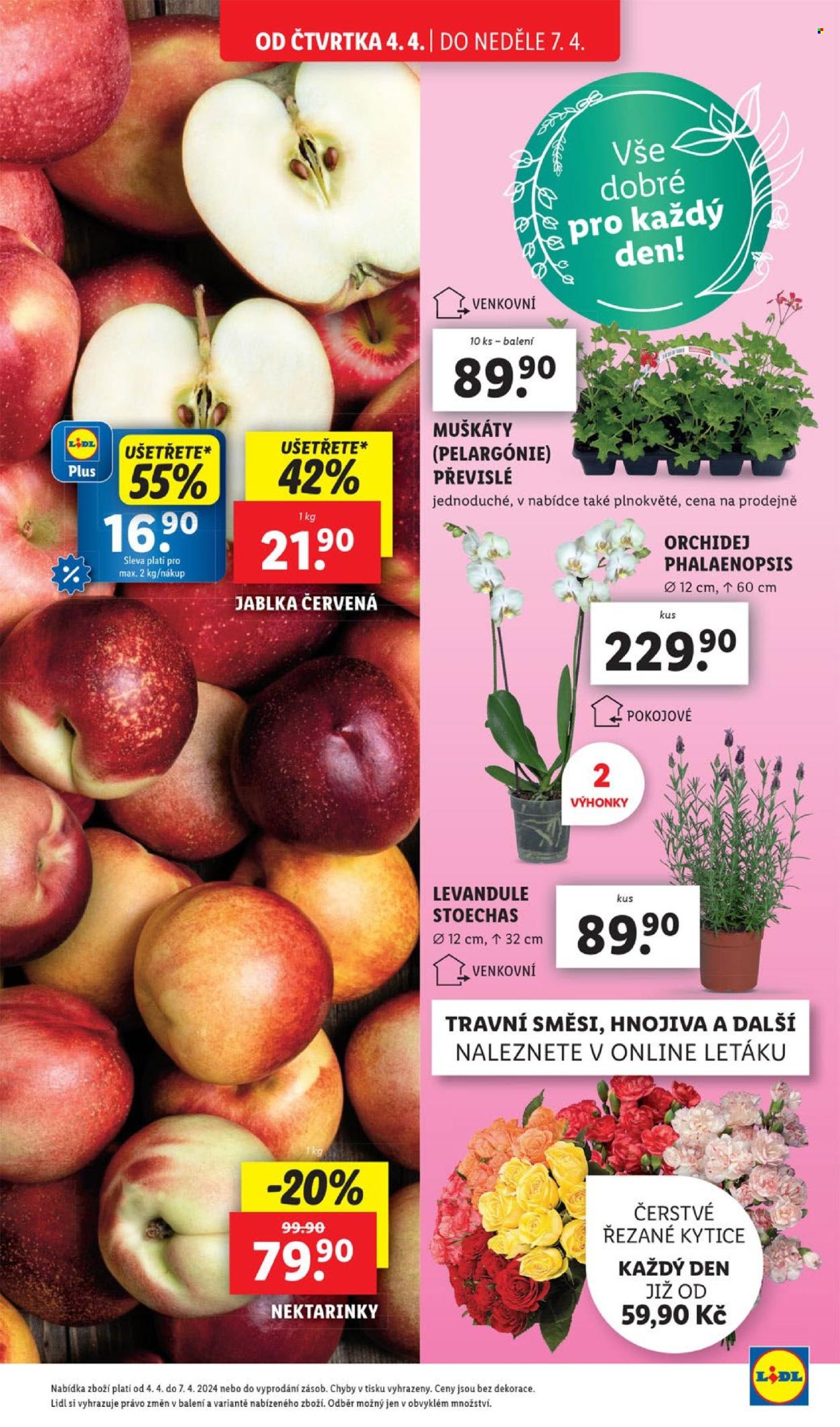 Leták Lidl - 4.4.2024 - 7.4.2024. Strana 5