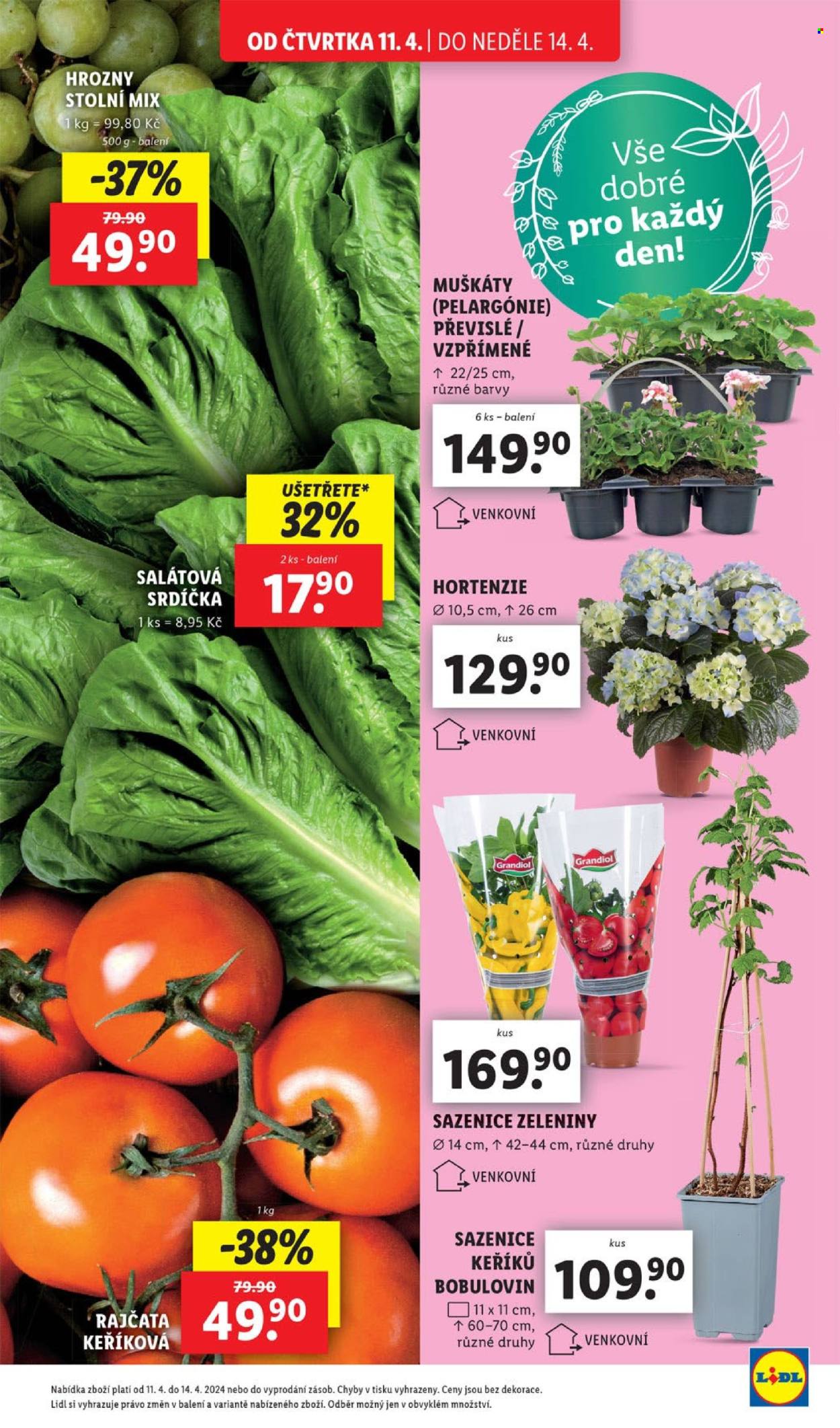Leták Lidl - 11.4.2024 - 14.4.2024. Strana 5