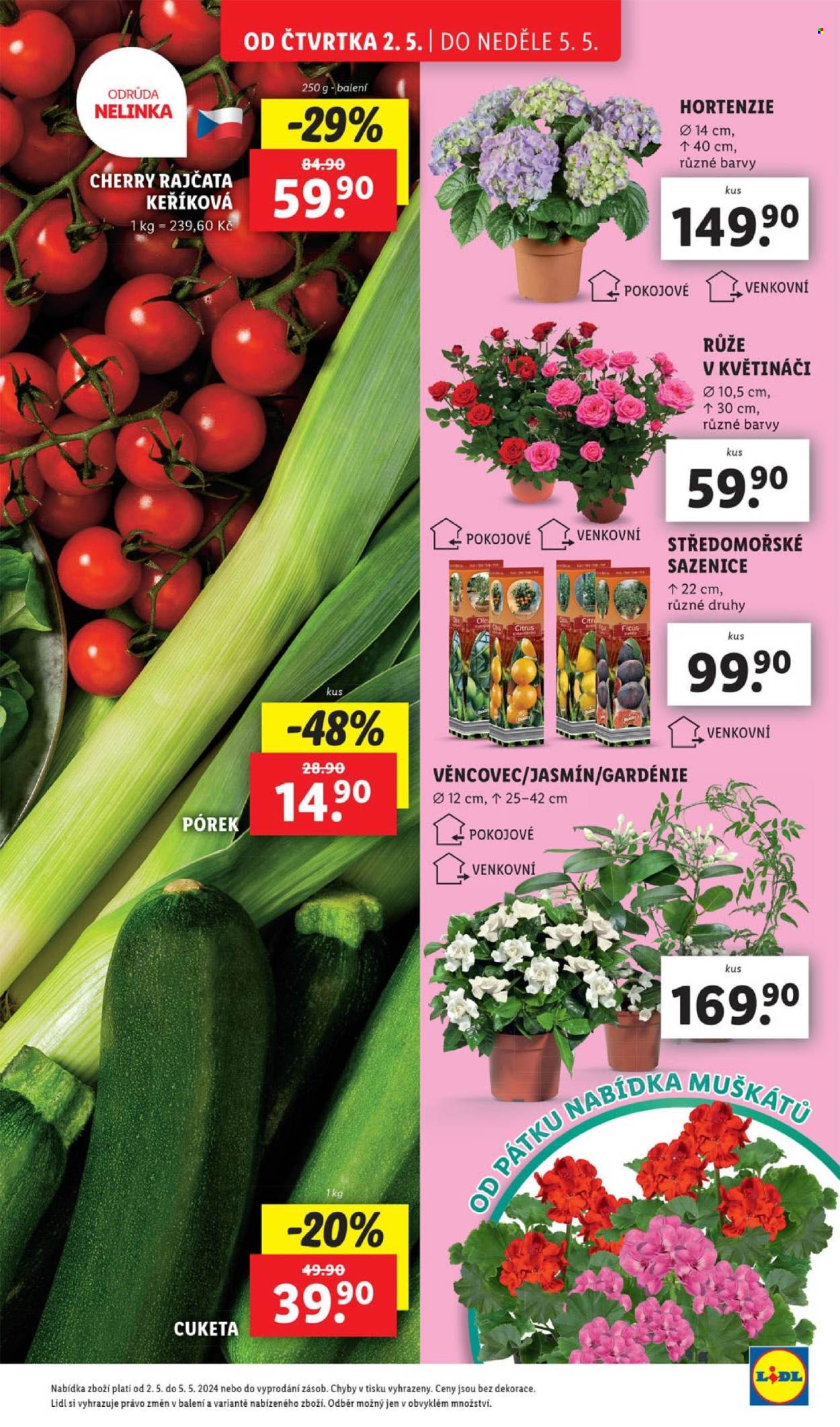 Leták Lidl - 2.5.2024 - 5.5.2024. Strana 5