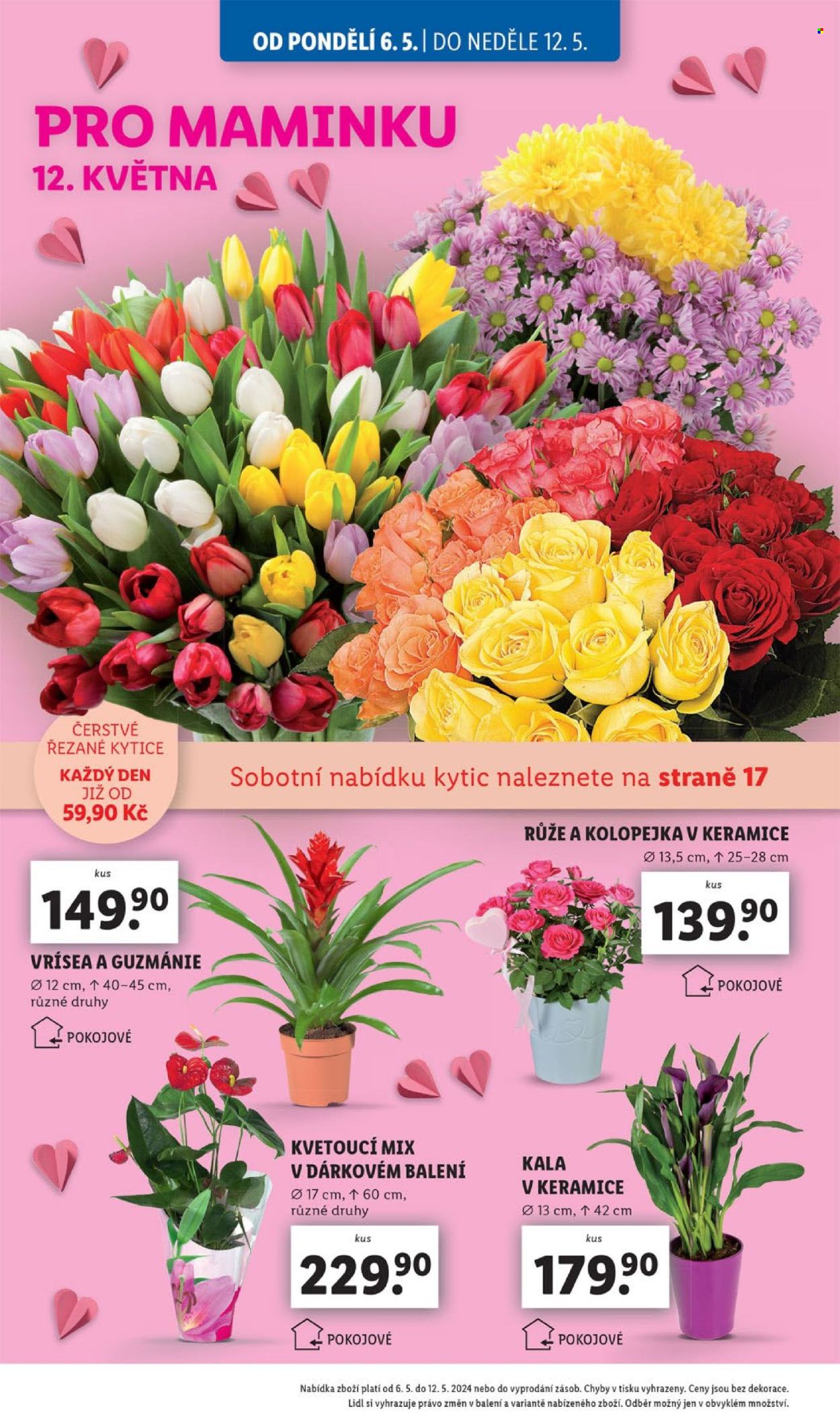 Leták Lidl - 6.5.2024 - 12.5.2024. Strana 28