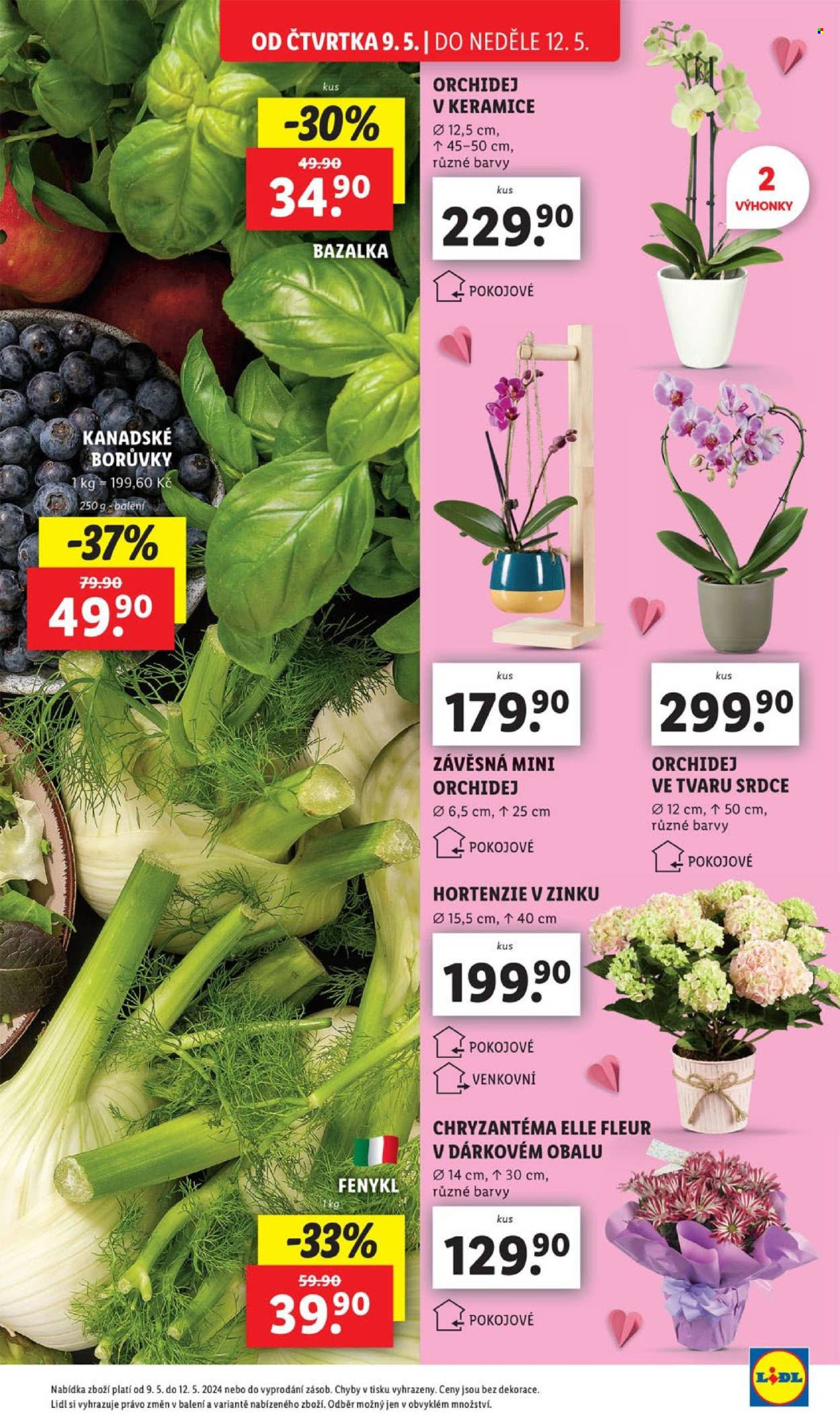 Leták Lidl - 9.5.2024 - 12.5.2024. Strana 5