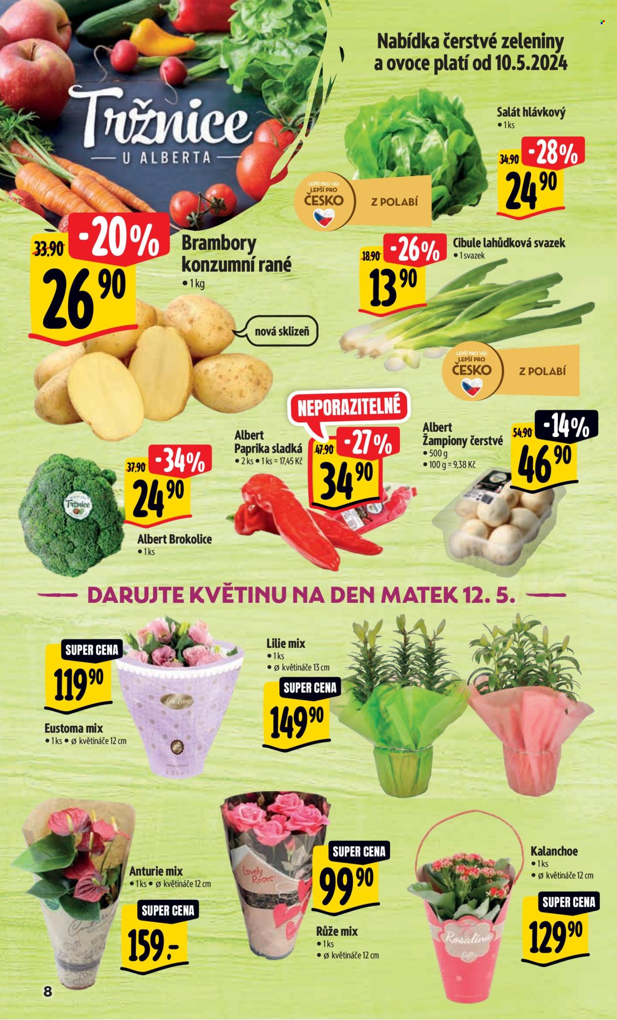 Leták Albert Hypermarket - 9.5.2024 - 14.5.2024. Strana 9