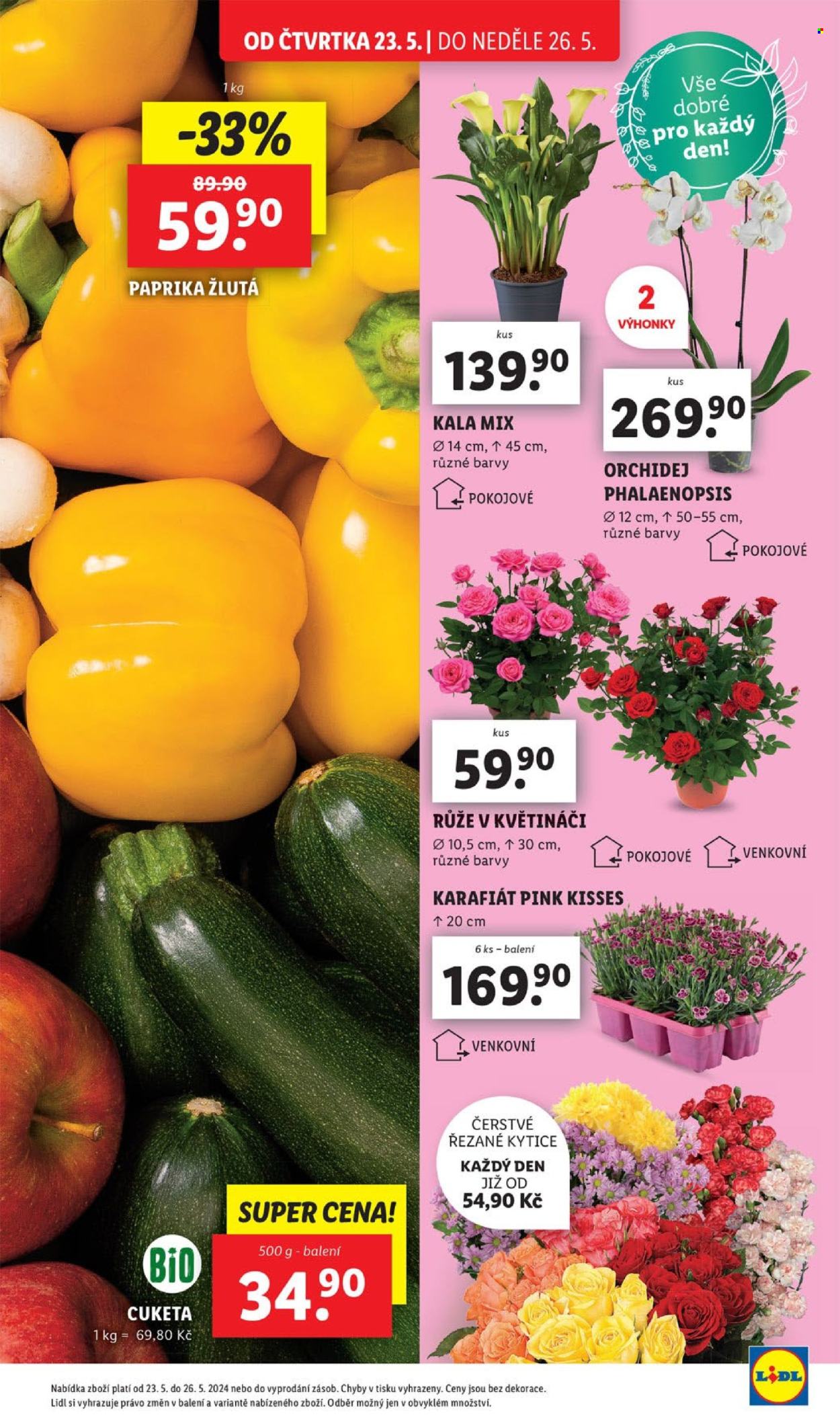 Leták Lidl - 23.5.2024 - 26.5.2024. Strana 5