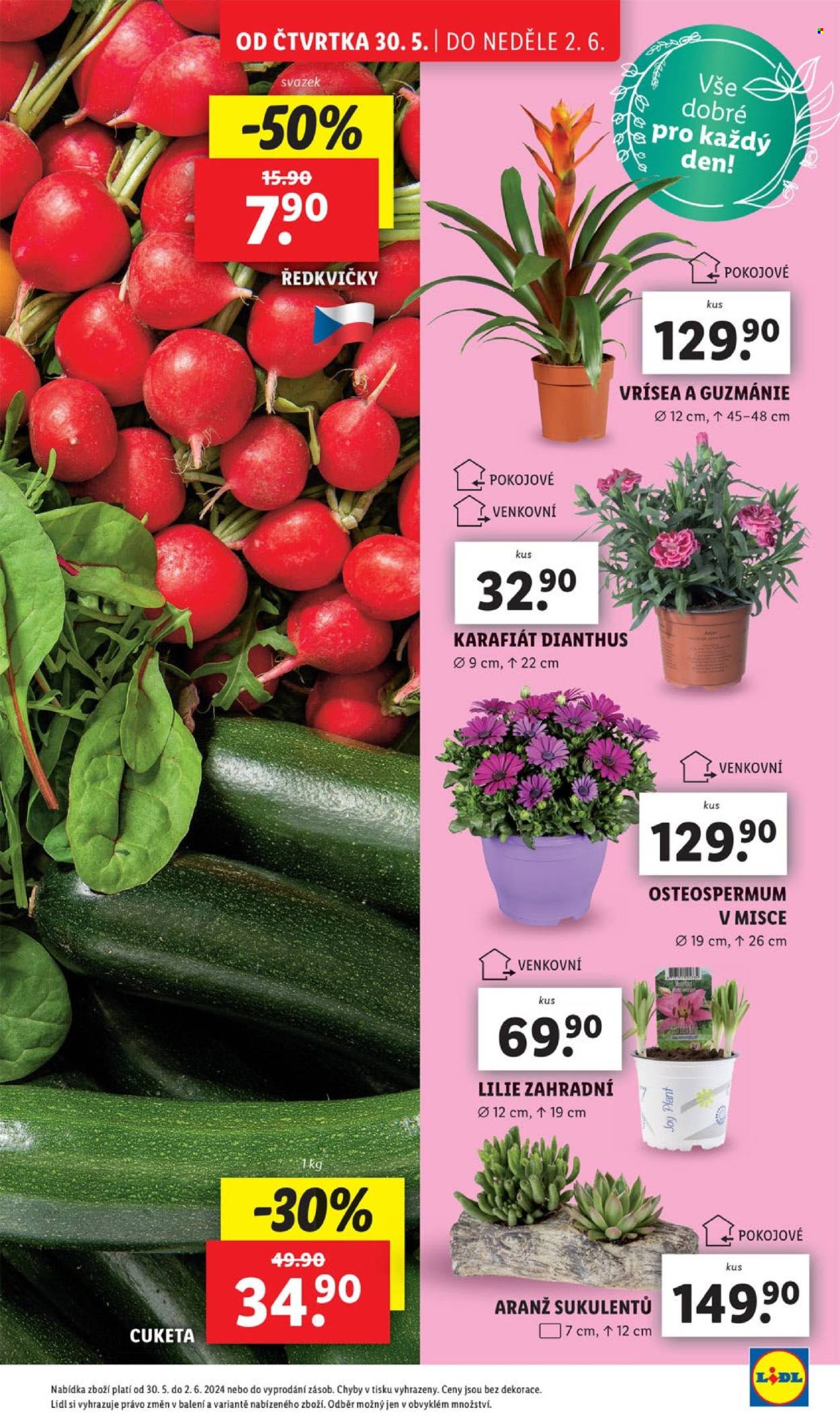 Leták Lidl - 30.5.2024 - 2.6.2024. Strana 5