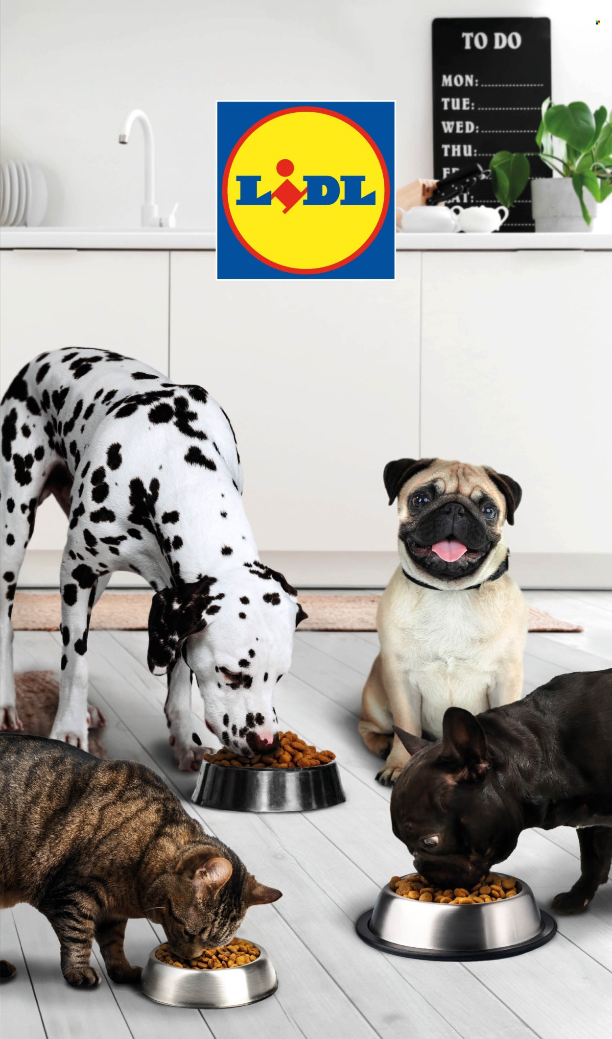 Leták Lidl - 17.6.2024 - 23.6.2024. Strana 9