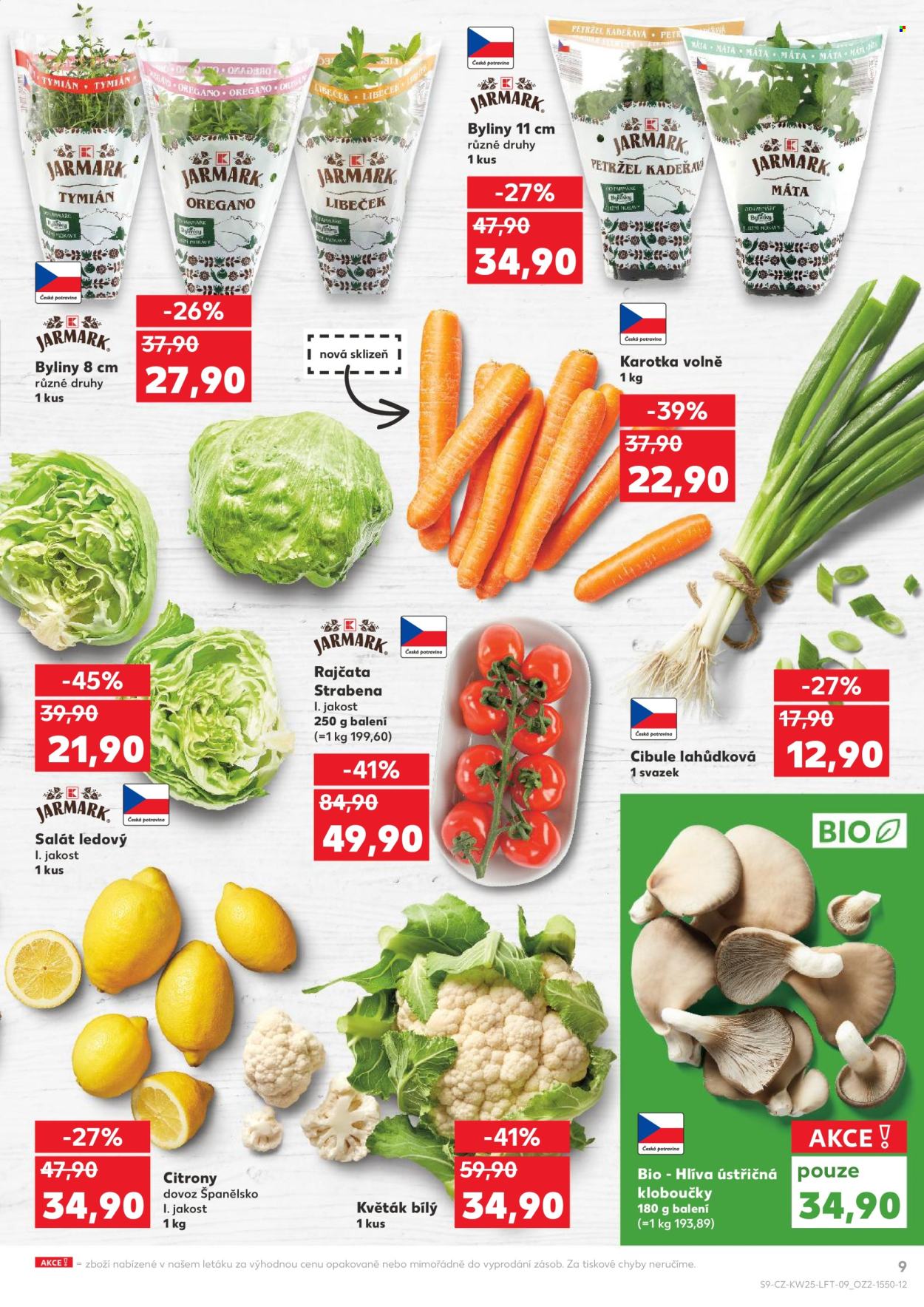 Leták Kaufland - 19.6.2024 - 25.6.2024. Strana 9