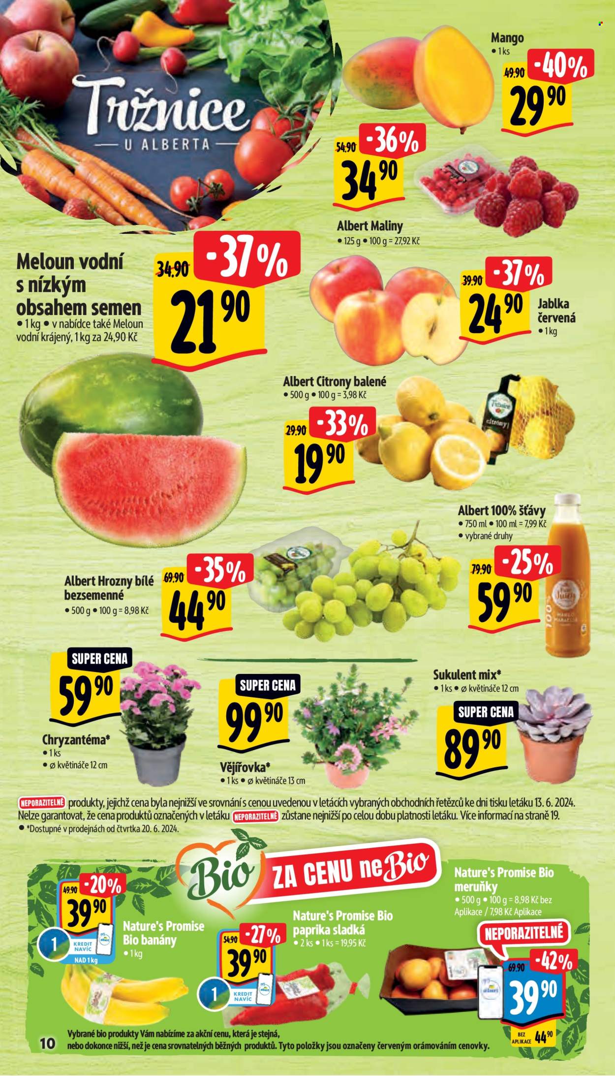 Leták Albert Supermarket - 19.6.2024 - 25.6.2024. Strana 16