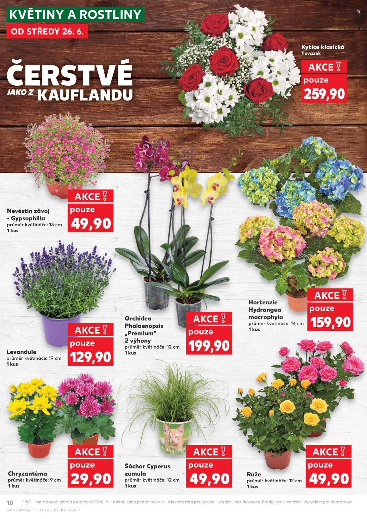 Leták Kaufland - 26.6.2024 - 2.7.2024. Strana 10