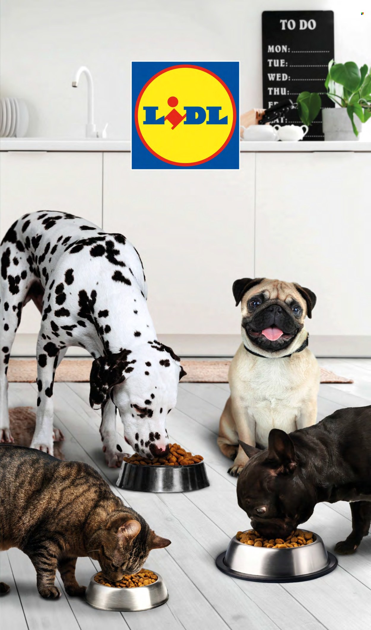 Leták Lidl - 24.6.2024 - 30.6.2024. Strana 9
