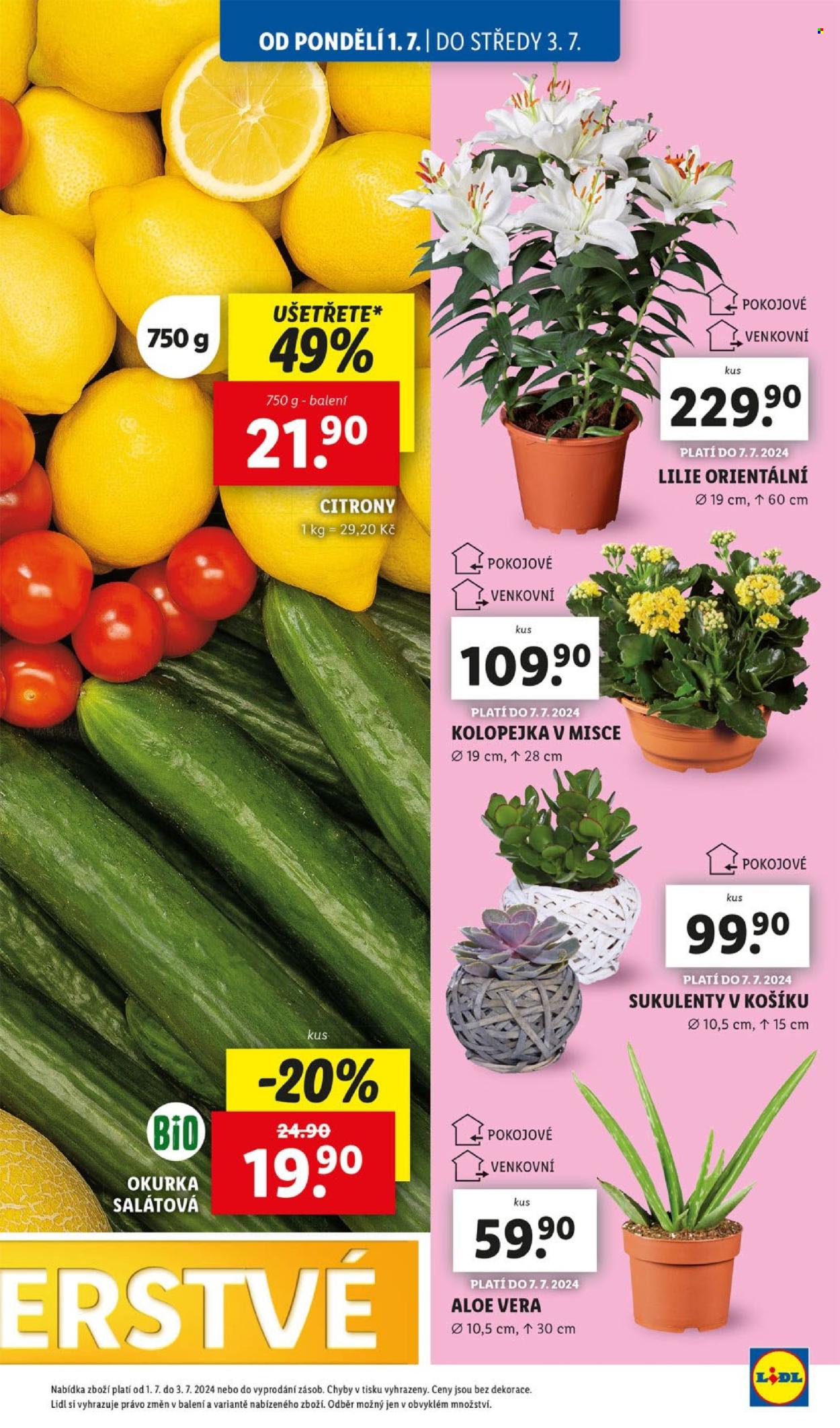 Leták Lidl - 1.7.2024 - 7.7.2024. Strana 15
