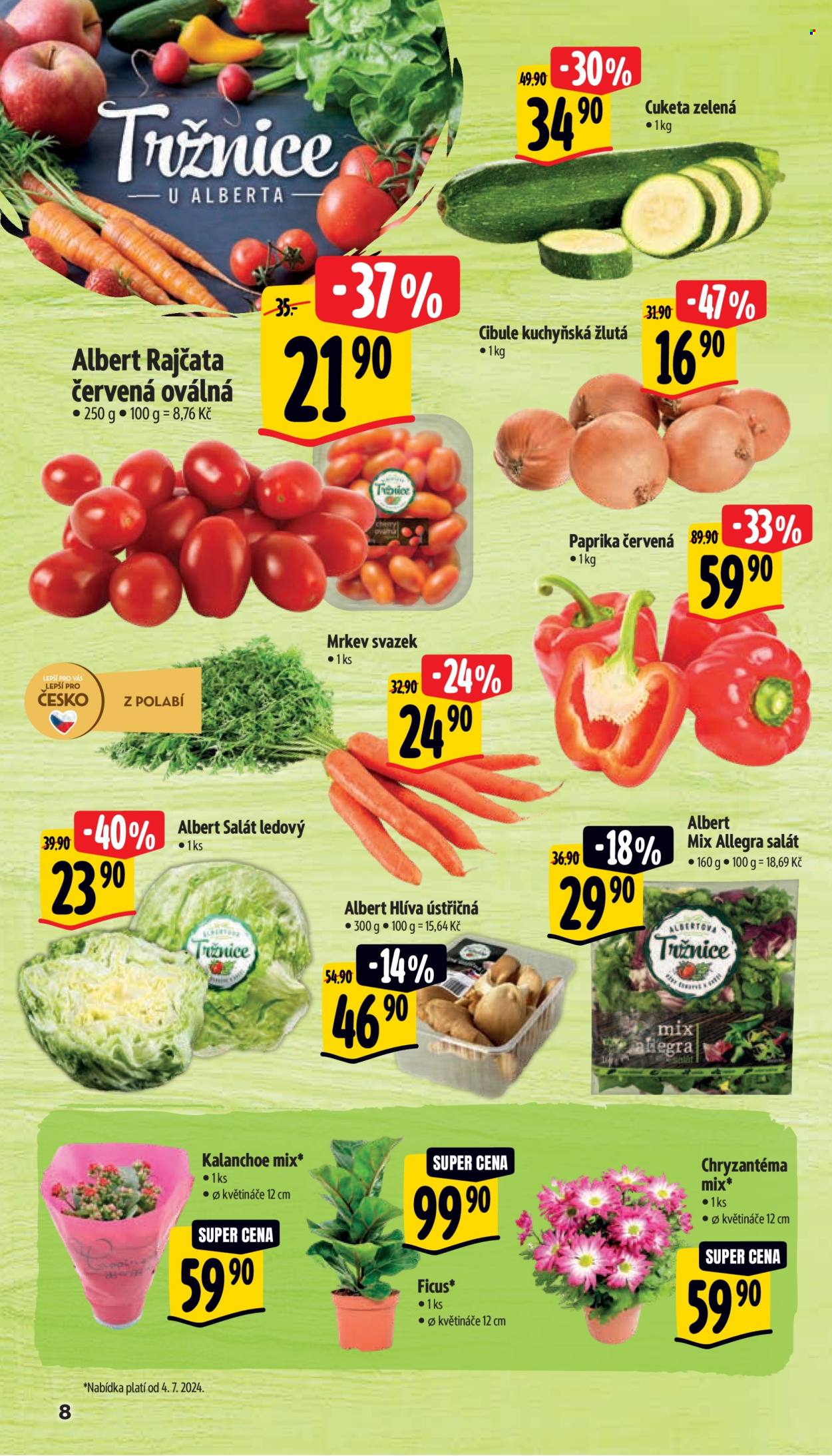 Leták Albert Supermarket - 3.7.2024 - 9.7.2024. Strana 13