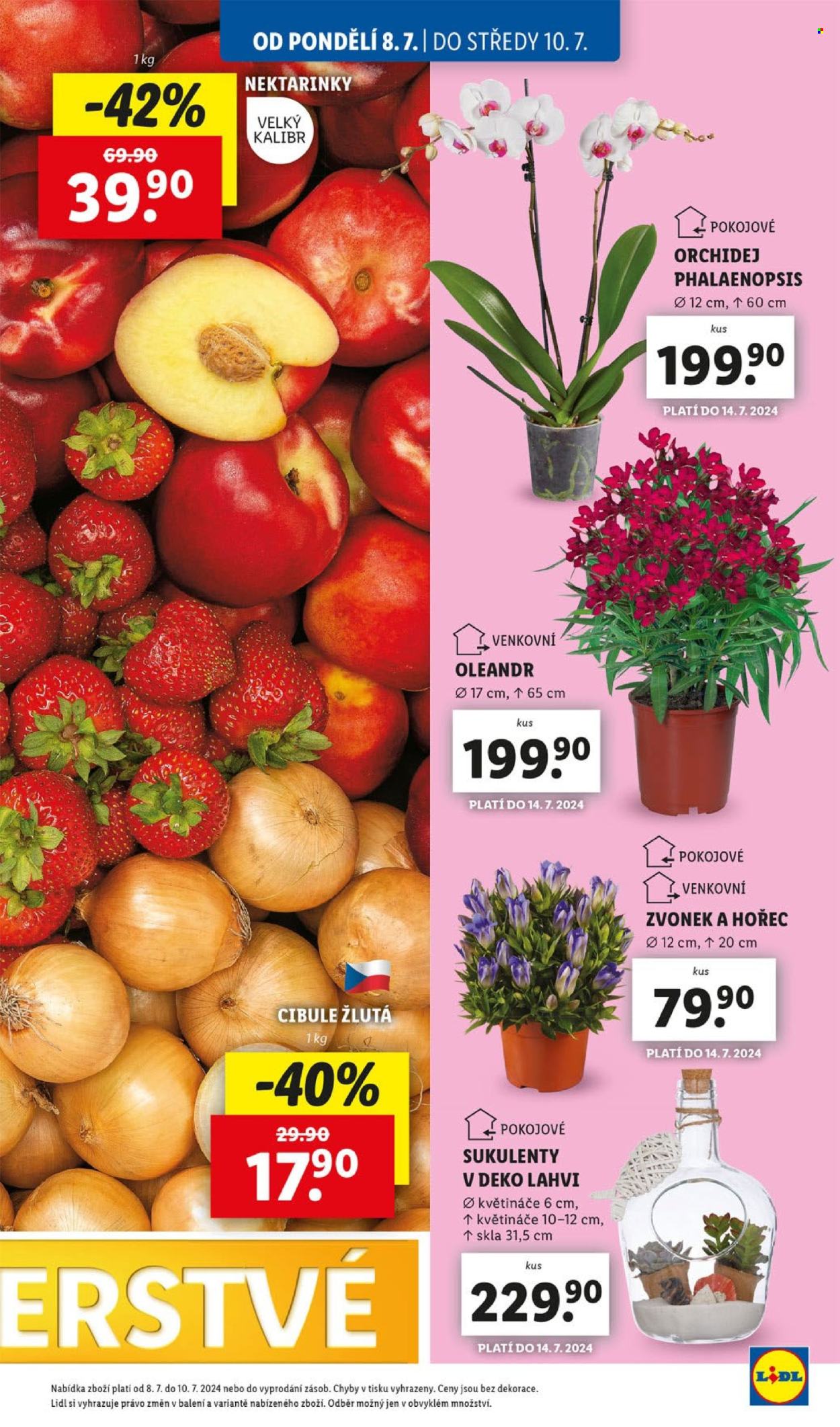 Leták Lidl - 8.7.2024 - 14.7.2024. Strana 13