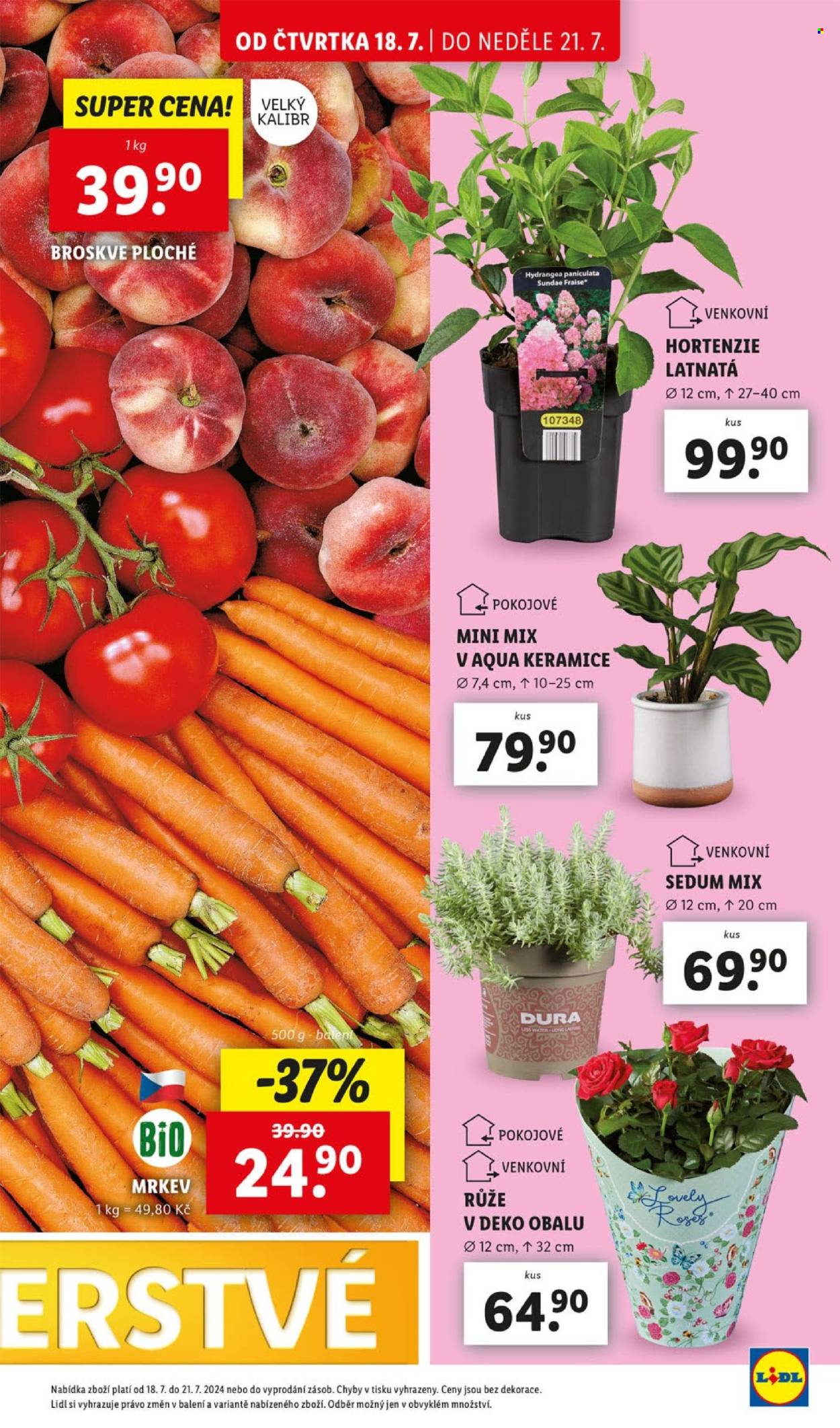 Leták Lidl - 18.7.2024 - 21.7.2024. Strana 15