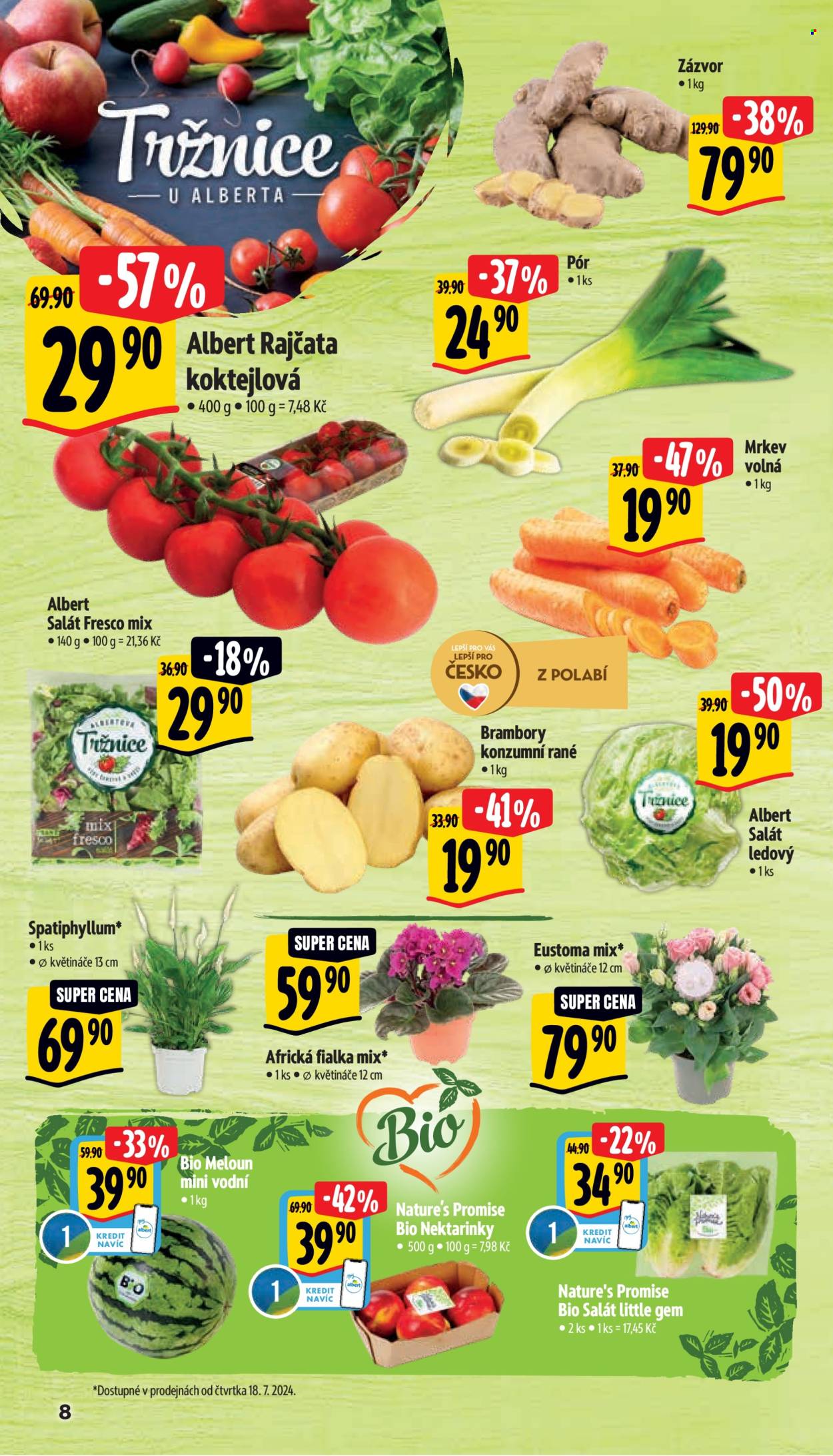 Leták Albert Supermarket - 17.7.2024 - 23.7.2024. Strana 13