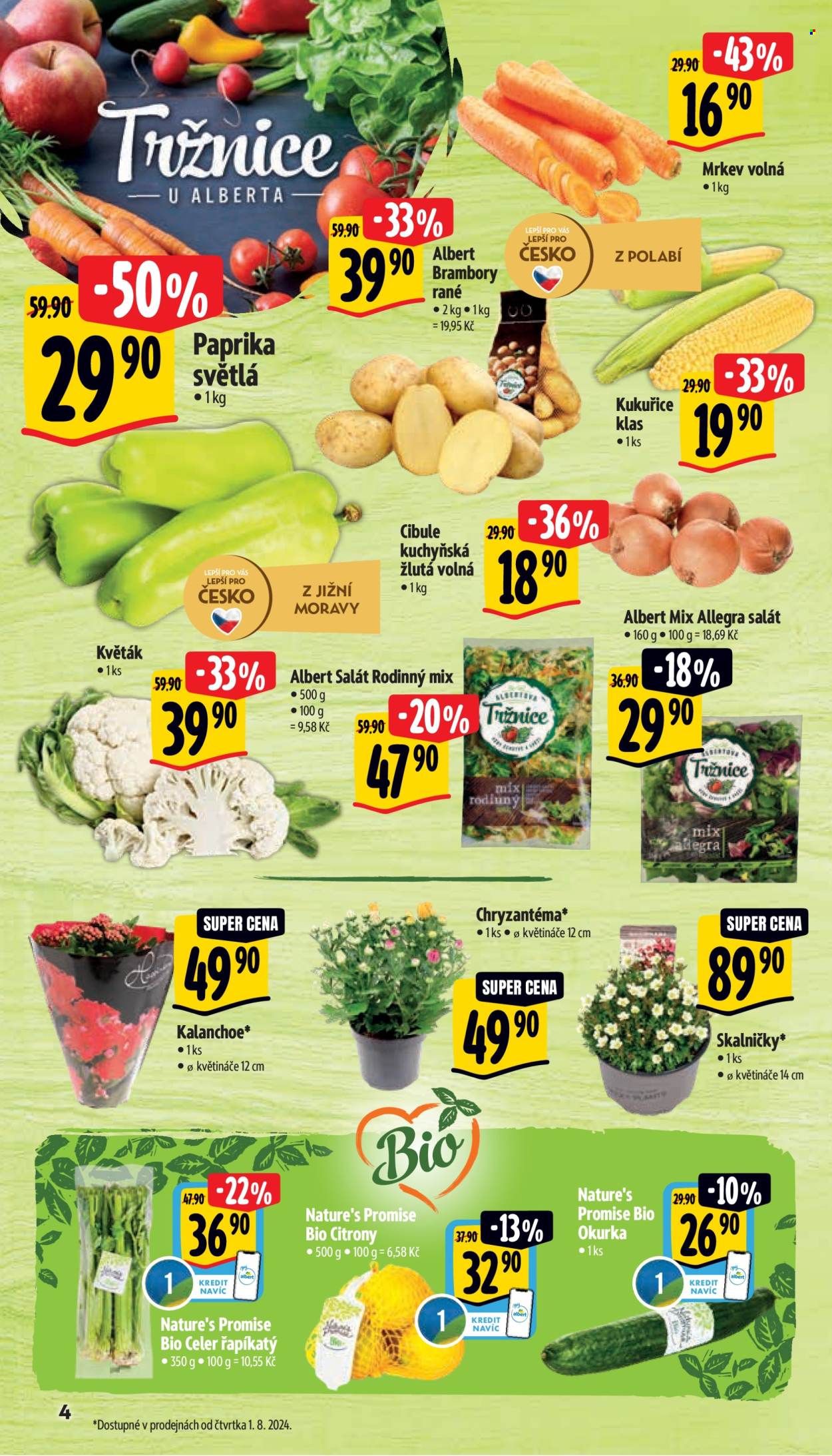 Leták Albert Supermarket - 31.7.2024 - 6.8.2024. Strana 10