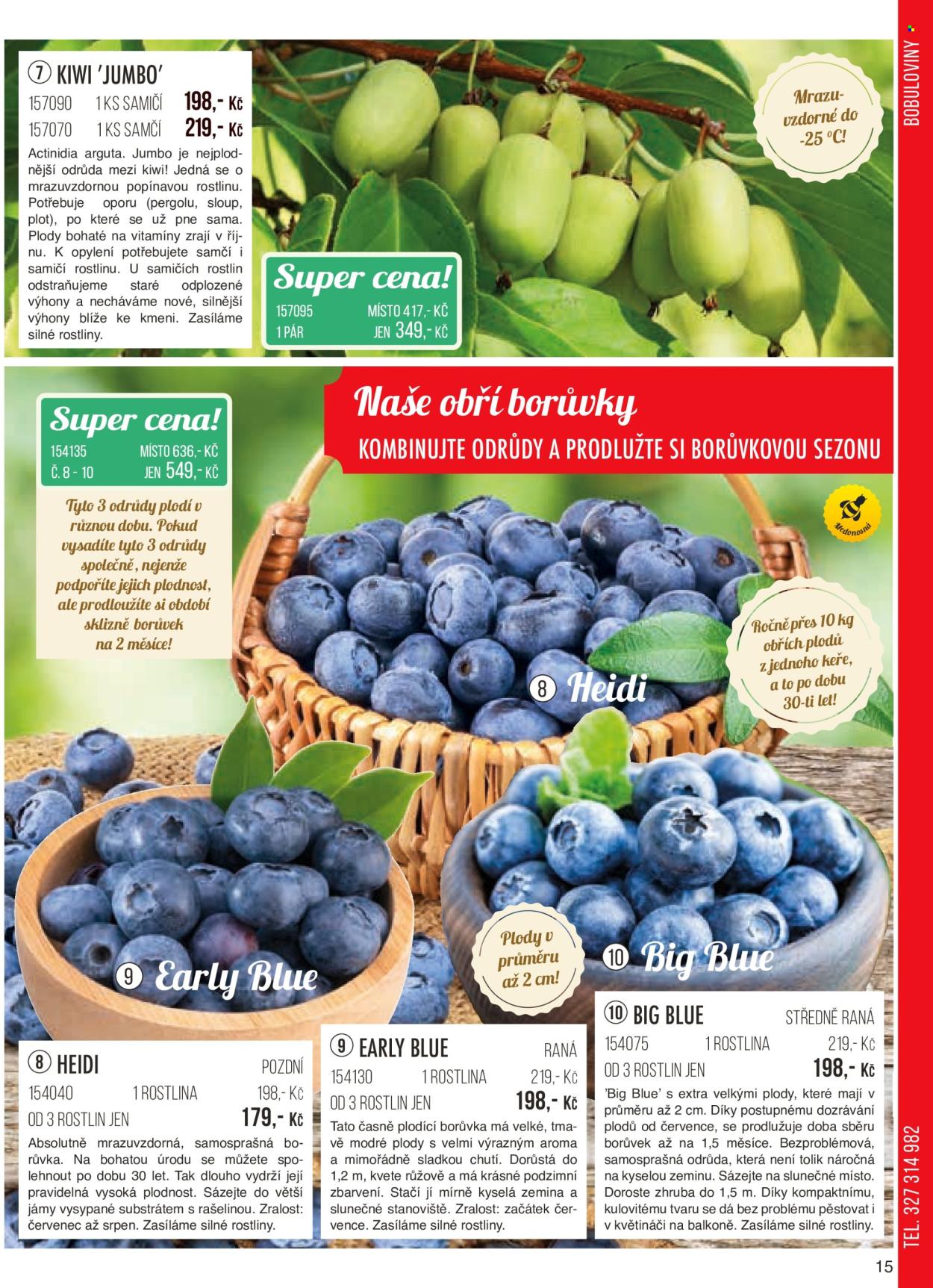 Leták Starkl. Strana 15