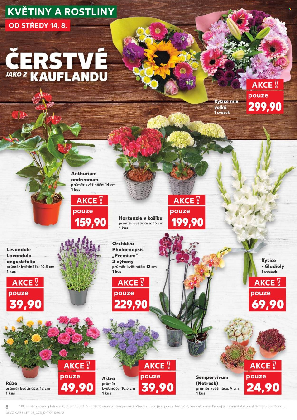 Leták Kaufland - 14.8.2024 - 18.8.2024. Strana 8
