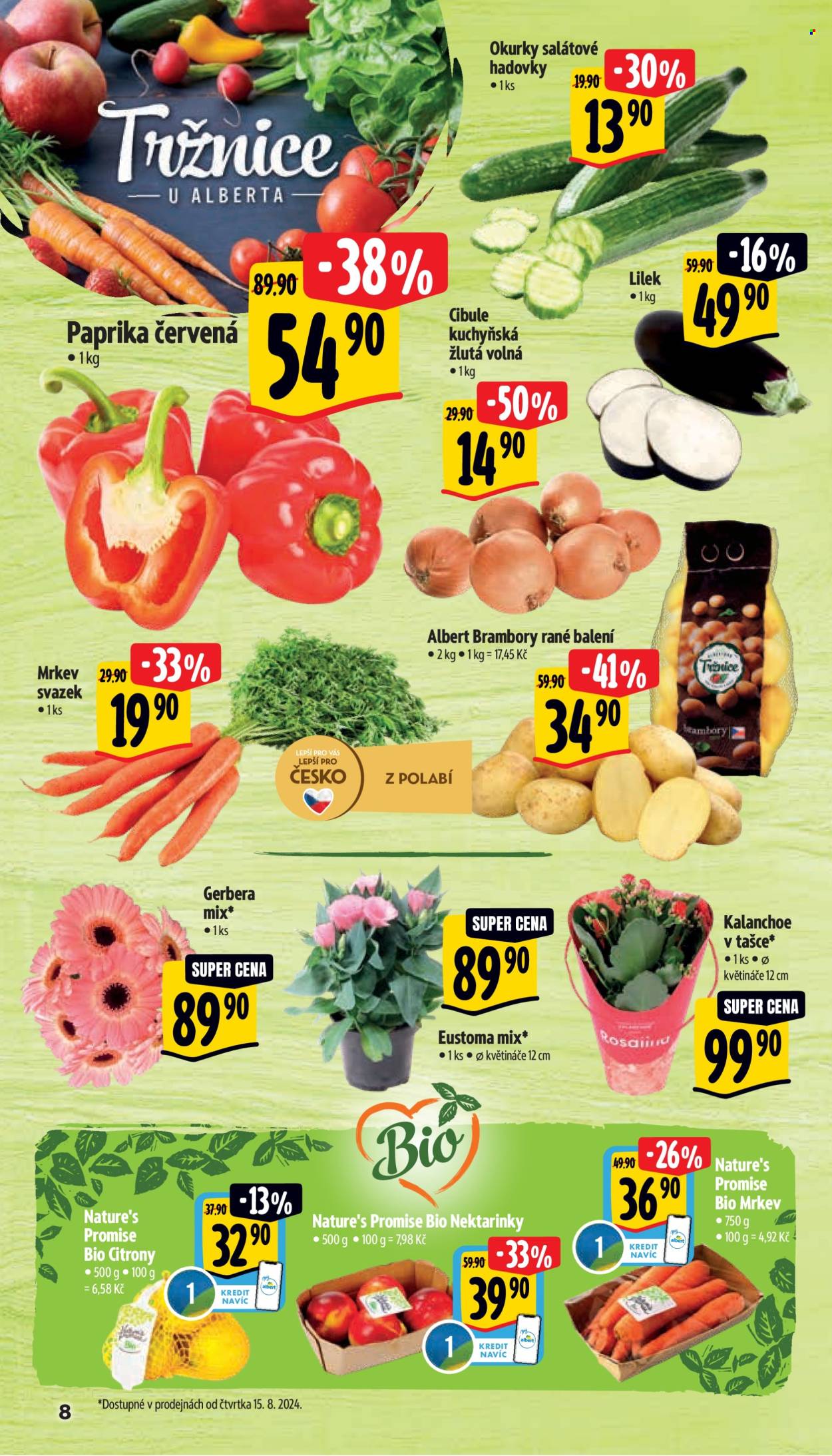 Leták Albert Supermarket - 14.8.2024 - 20.8.2024. Strana 13
