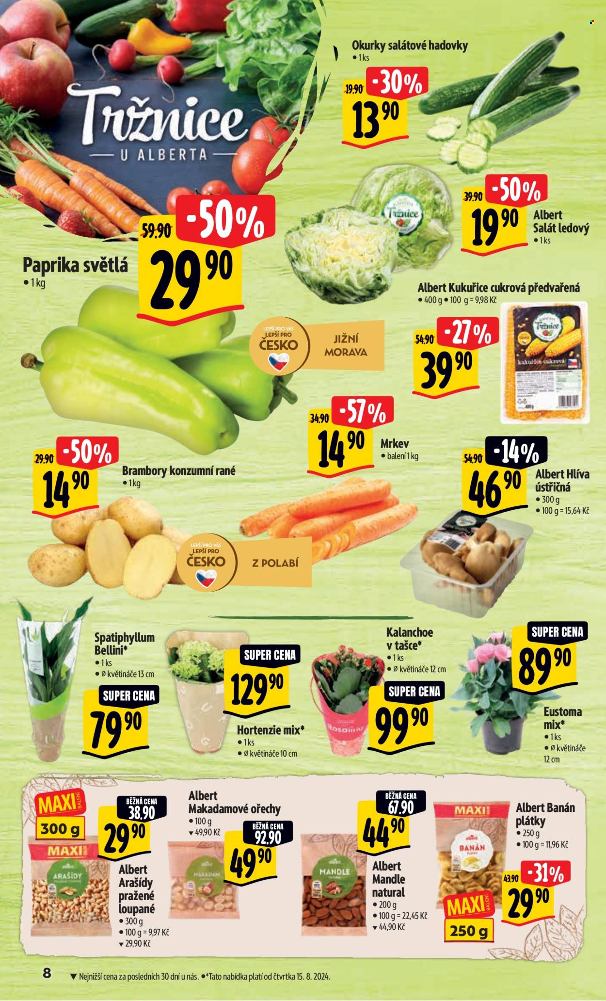 Leták Albert Hypermarket - 14.8.2024 - 20.8.2024. Strana 14