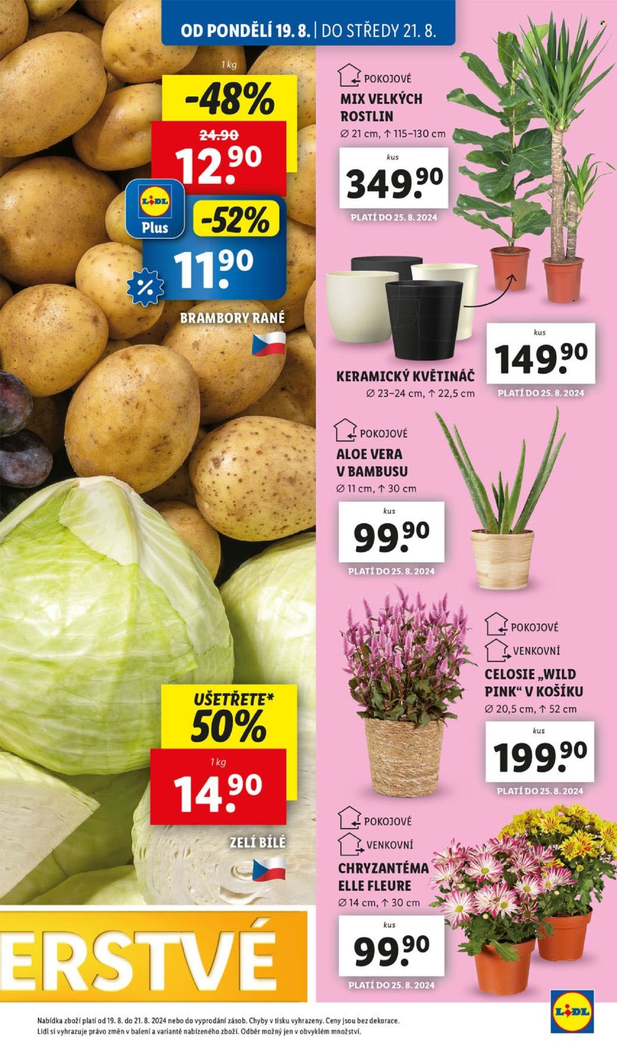 Leták Lidl - 19.8.2024 - 25.8.2024. Strana 11