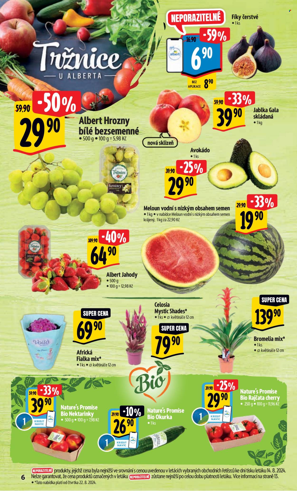 Leták Albert Hypermarket - 21.8.2024 - 27.8.2024. Strana 13