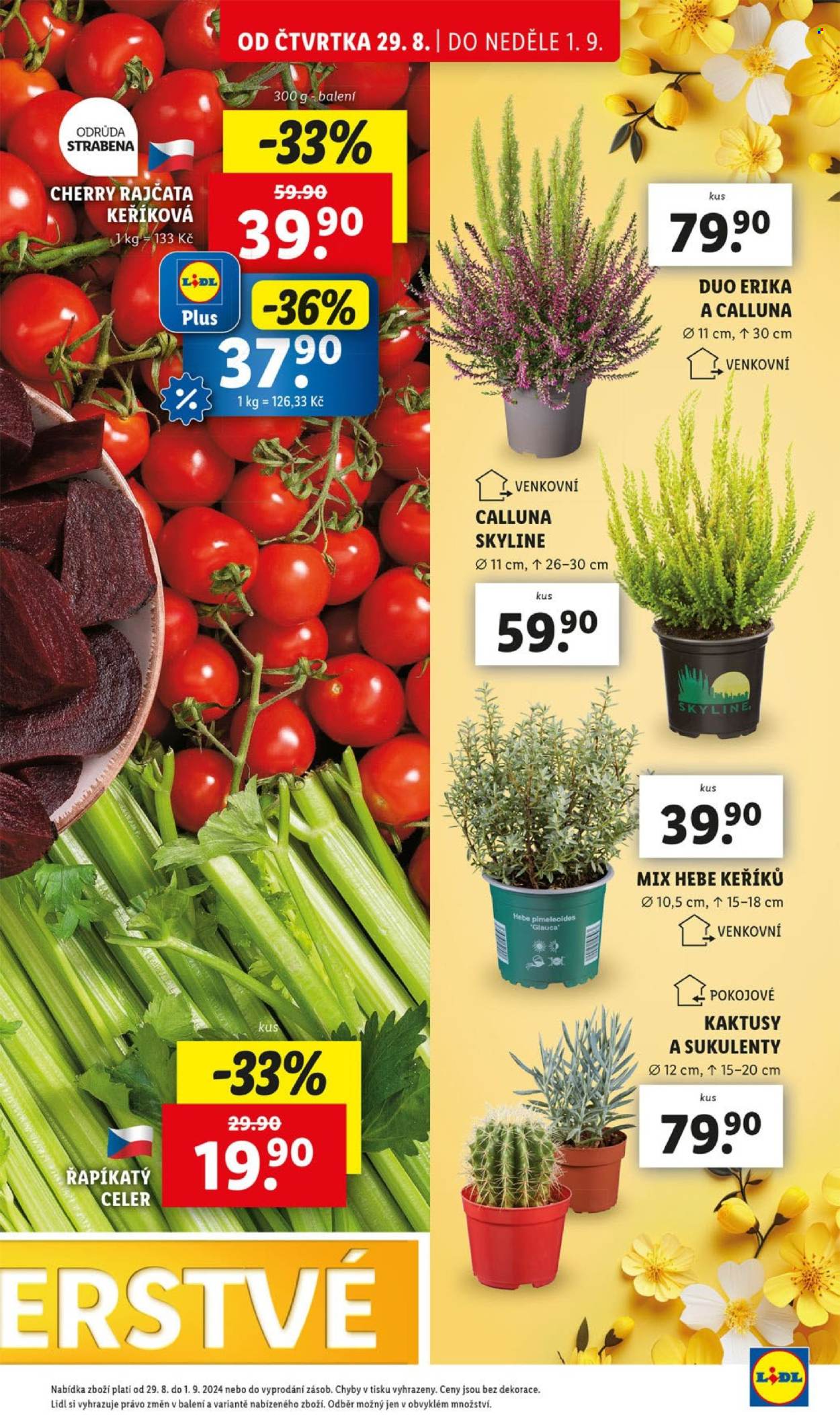 Leták Lidl - 29.8.2024 - 1.9.2024. Strana 13