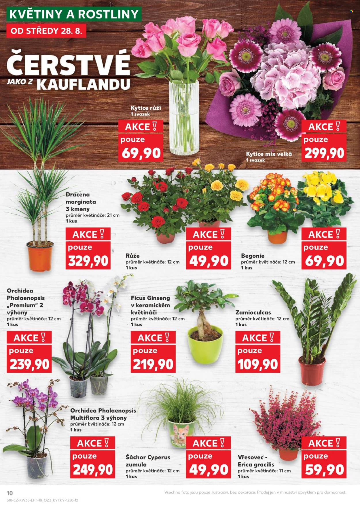 Leták Kaufland - 28.8.2024 - 3.9.2024. Strana 10