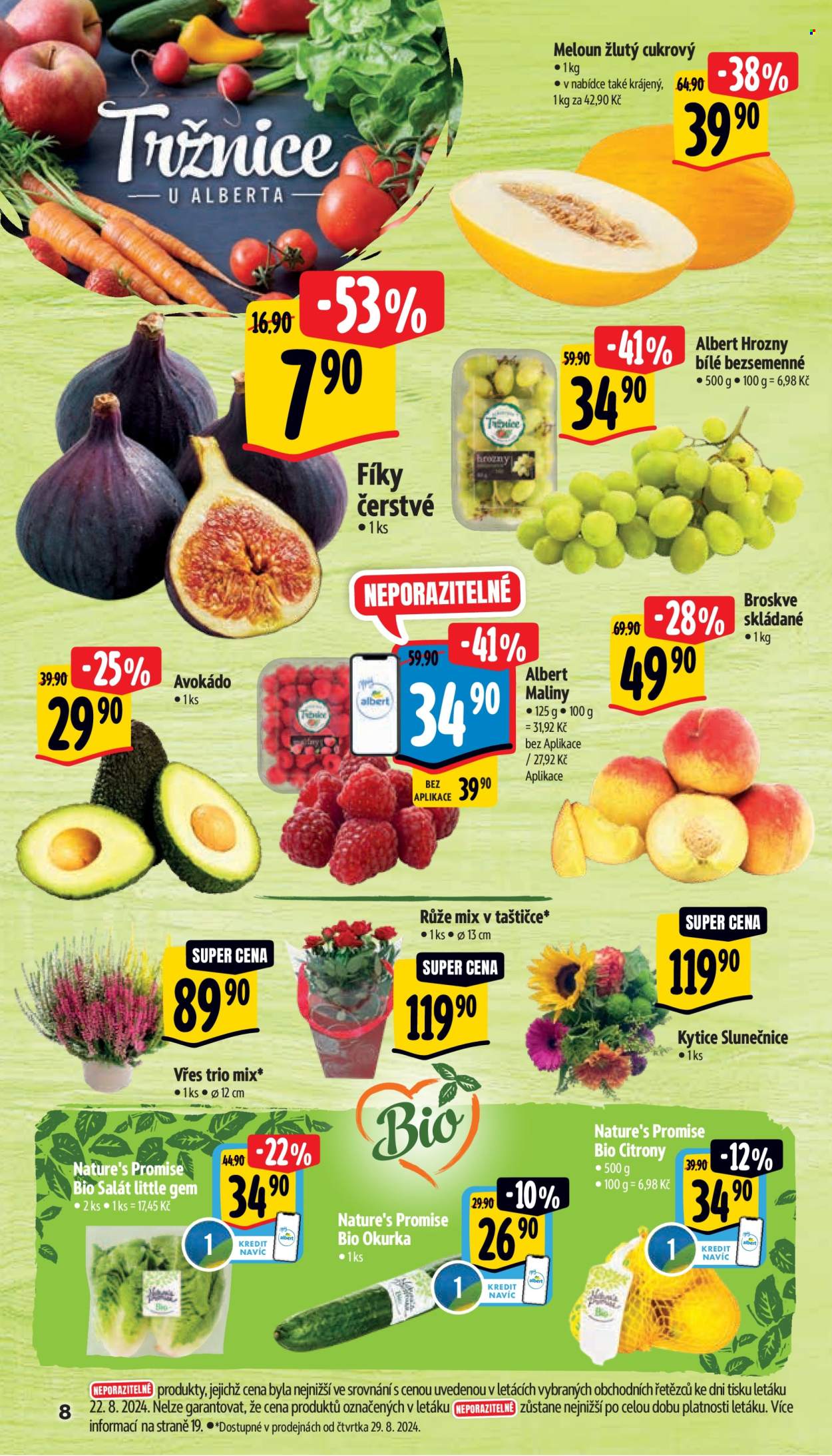 Leták Albert Supermarket - 28.8.2024 - 3.9.2024. Strana 13