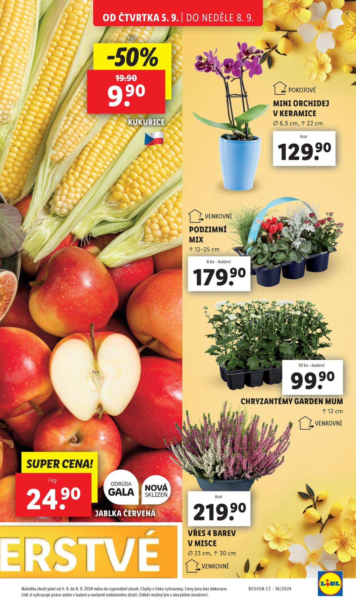 Leták Lidl - 5.9.2024 - 8.9.2024. Strana 13