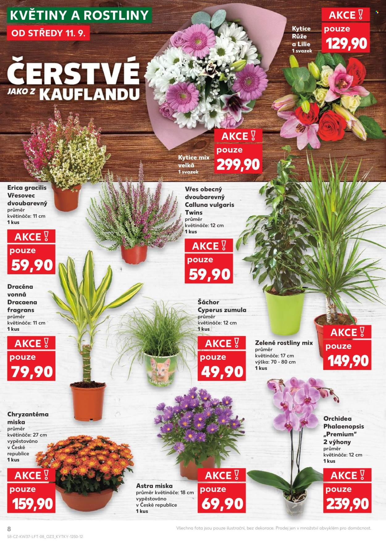 Leták Kaufland - 11.9.2024 - 17.9.2024. Strana 8