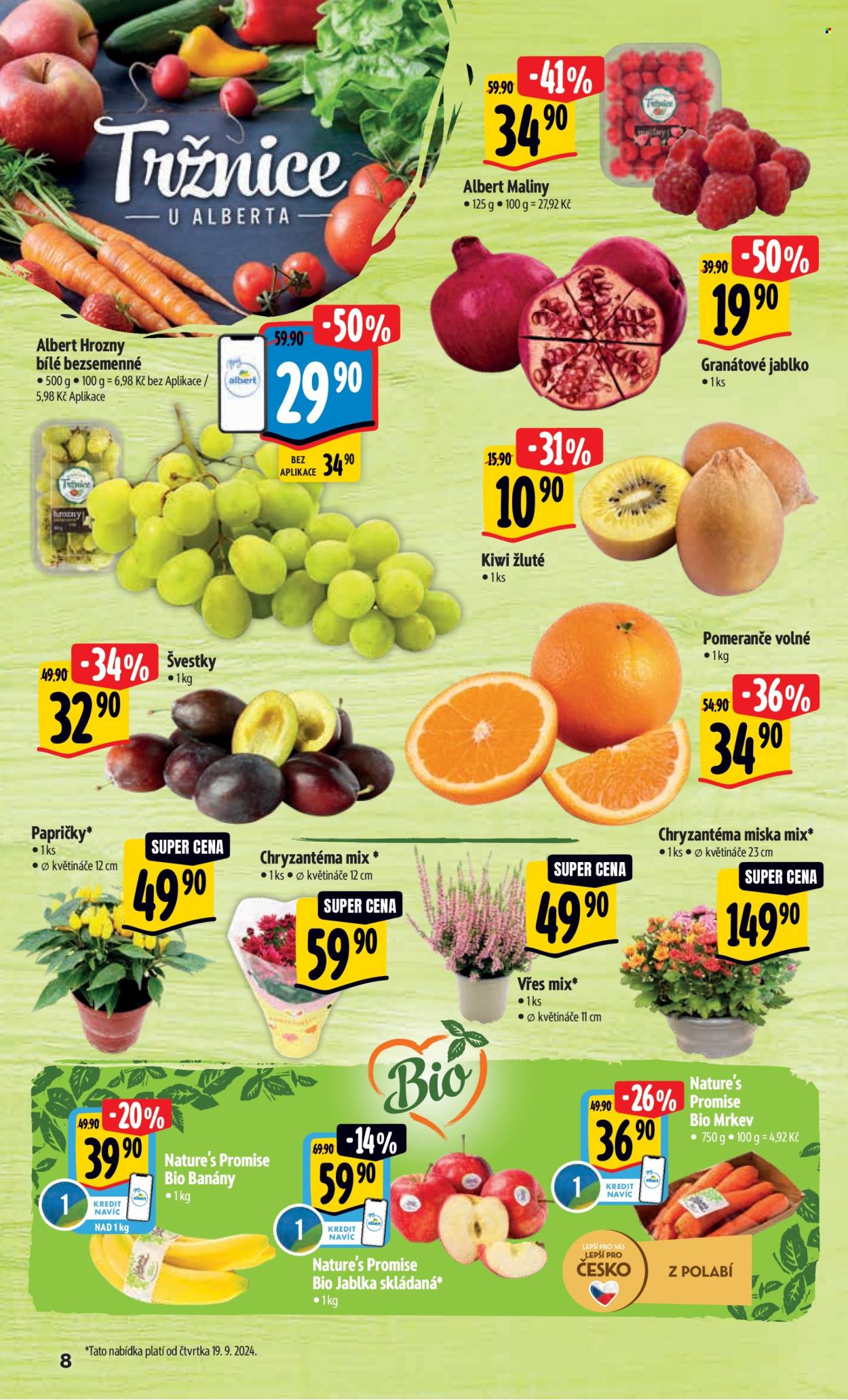 Leták Albert Hypermarket - 18.9.2024 - 24.9.2024. Strana 13